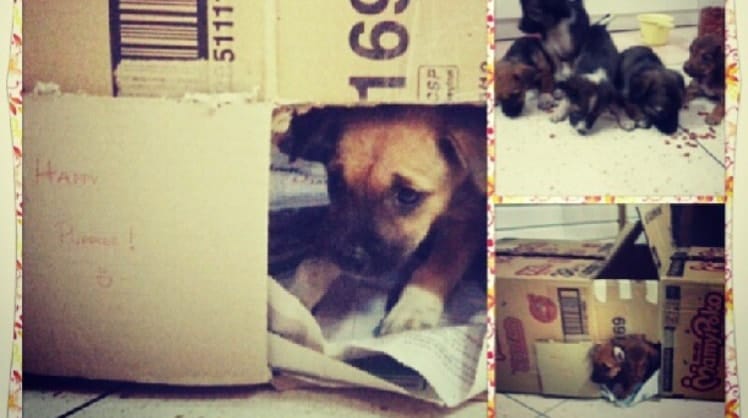 image-5