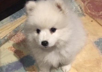 April