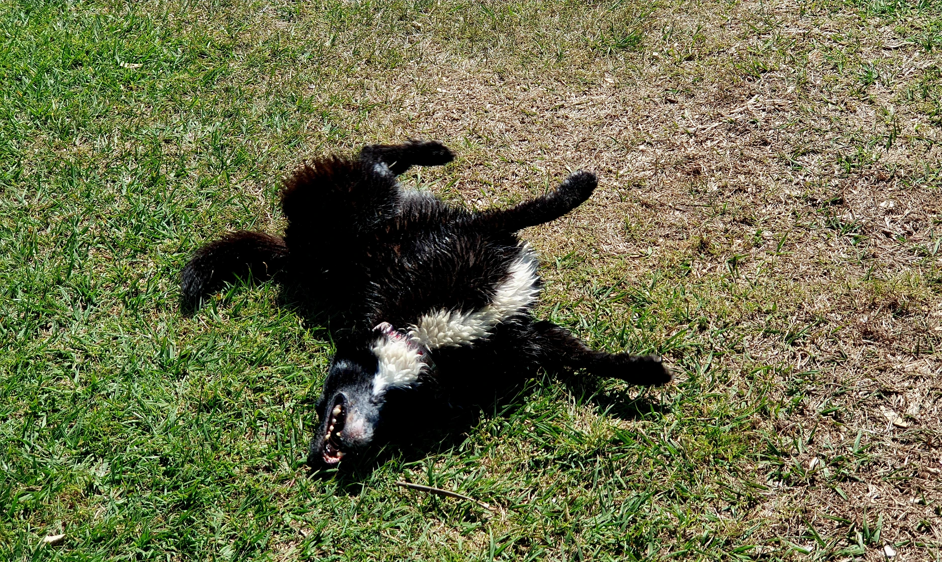 image-6