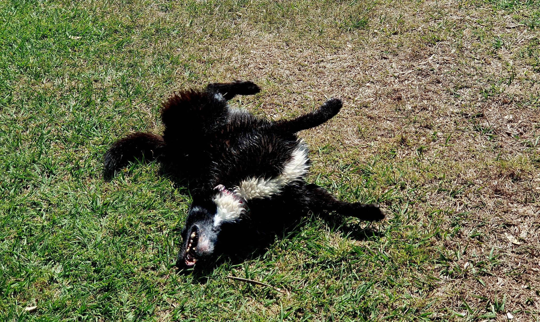 image-6