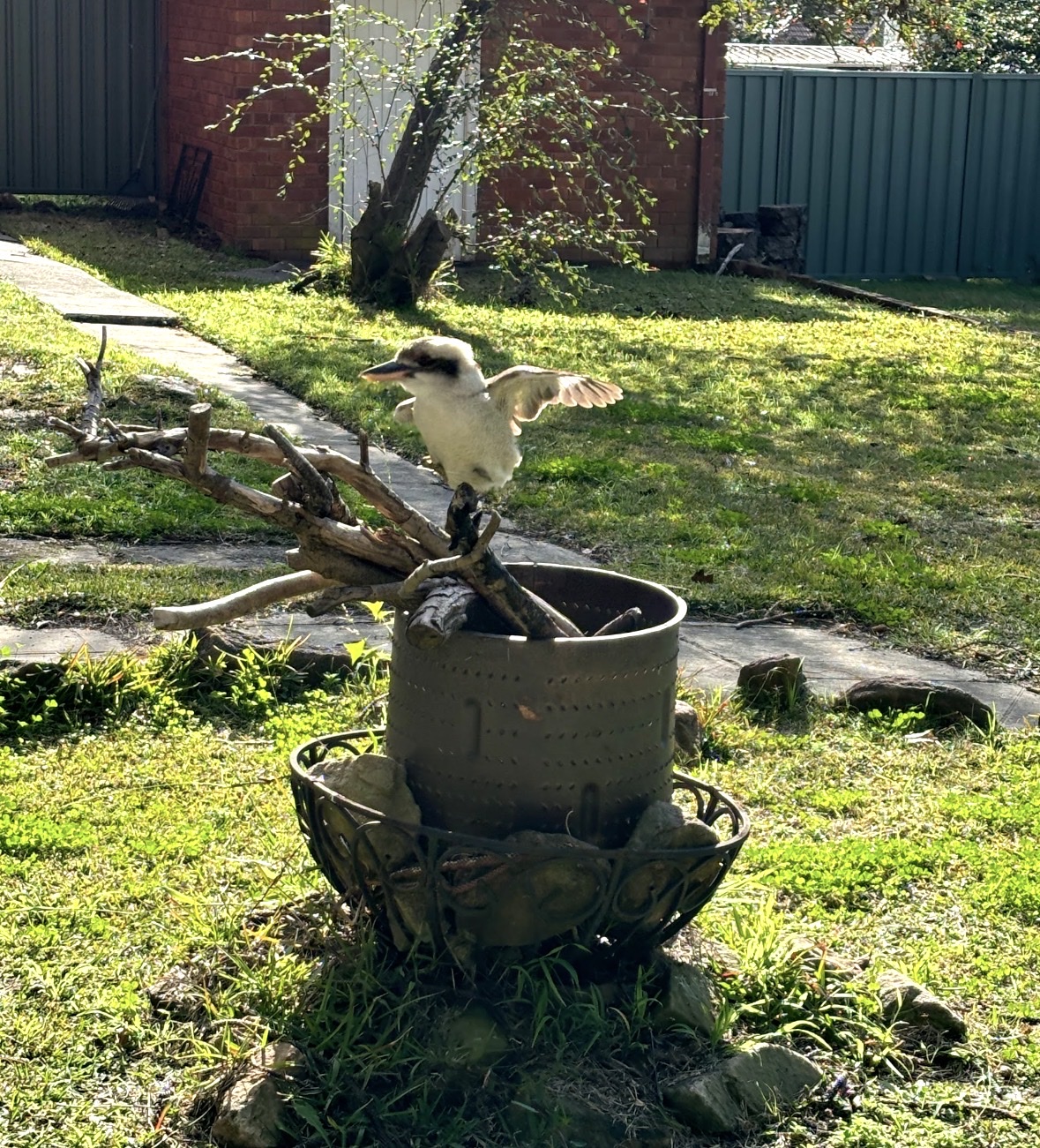 image-9