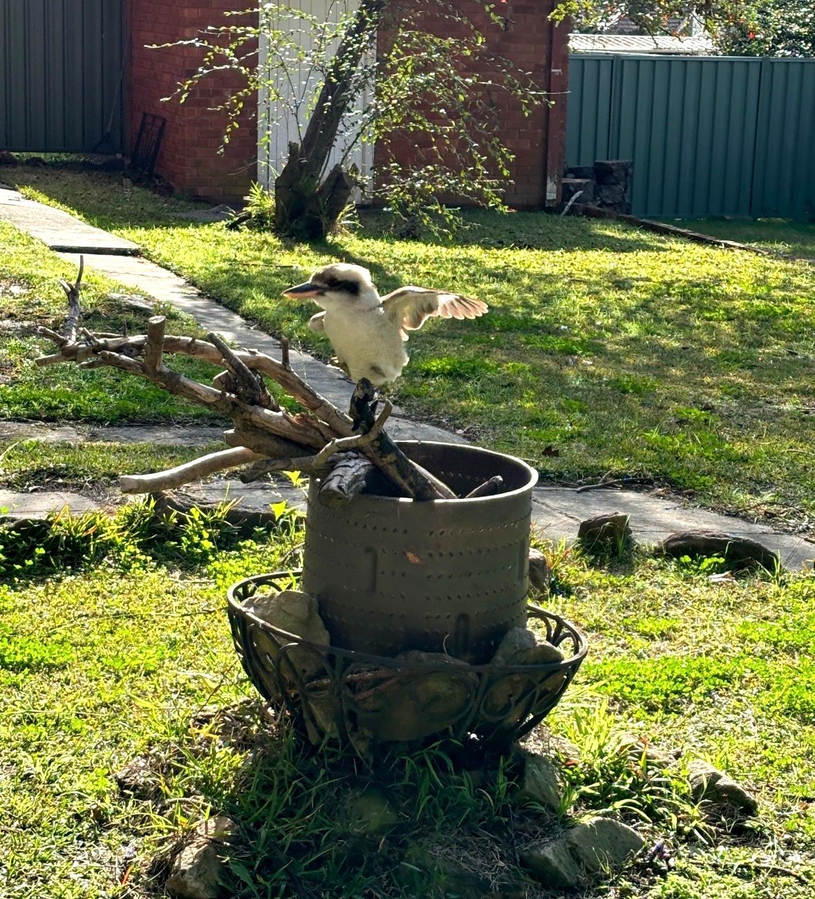 image-9