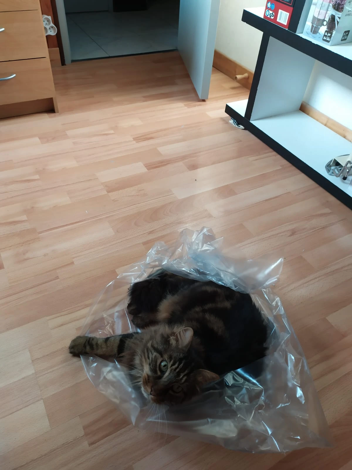 image-6
