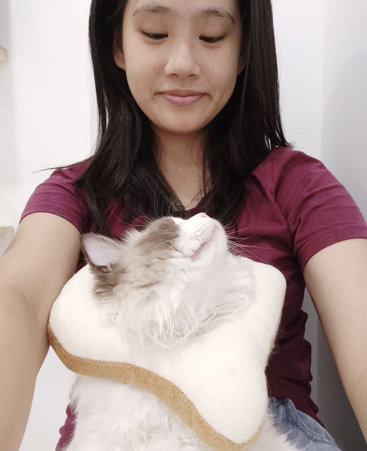 image-5