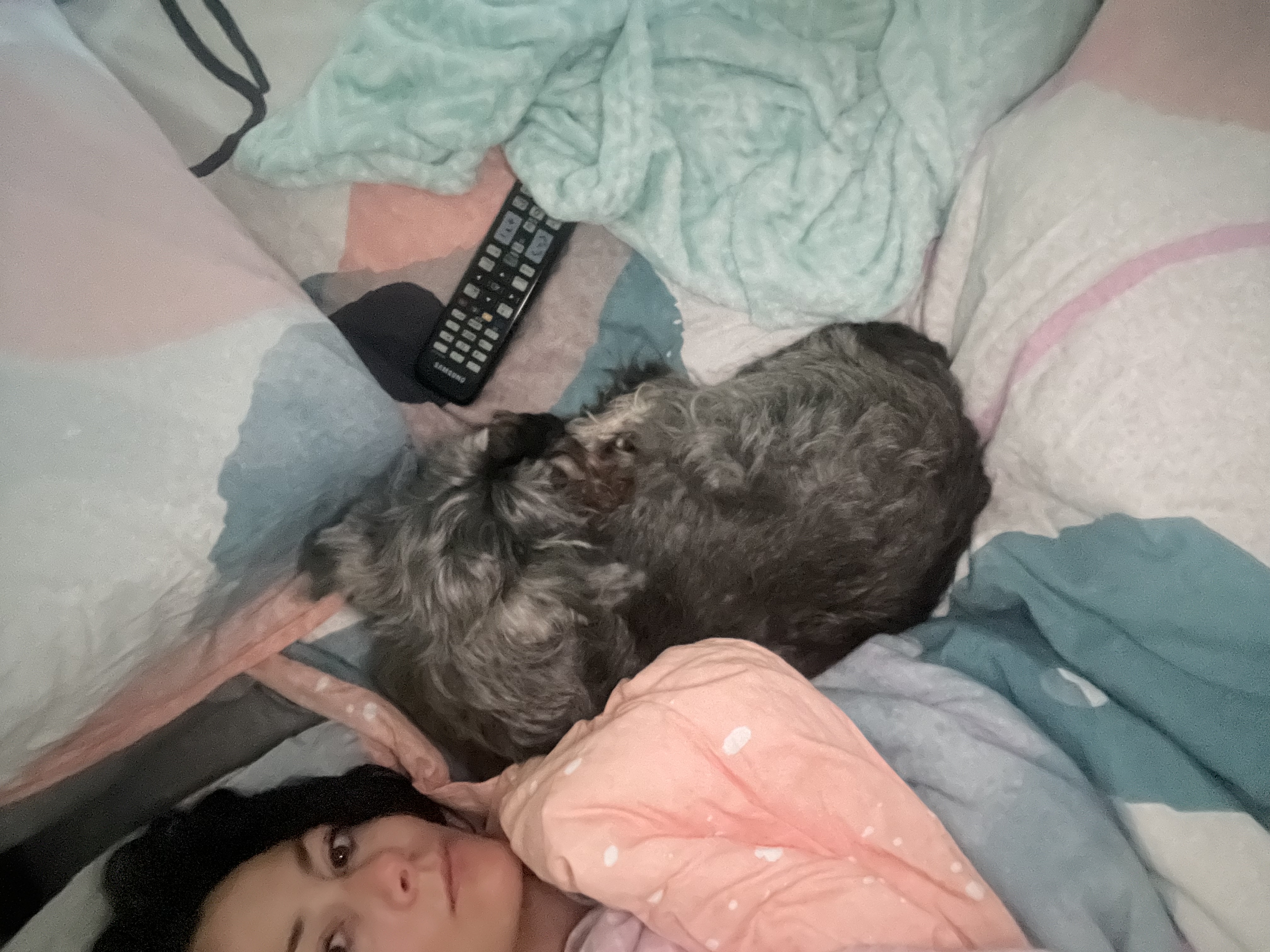 image-8