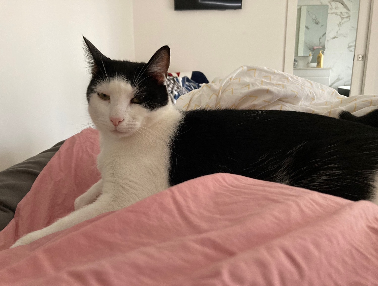 Felix
