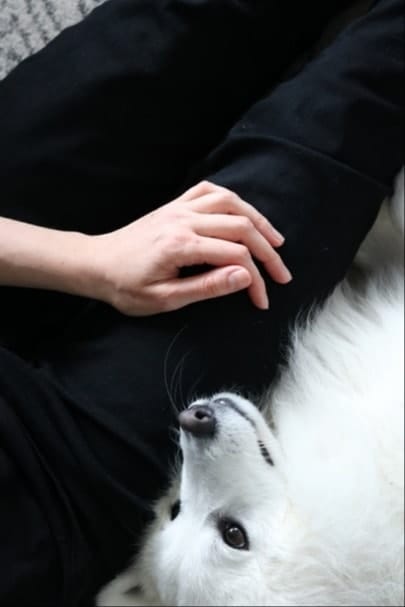 image-10