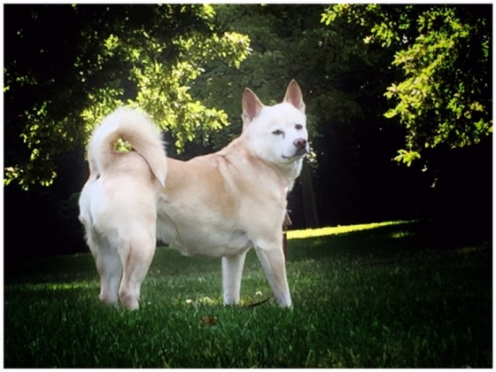 image-10