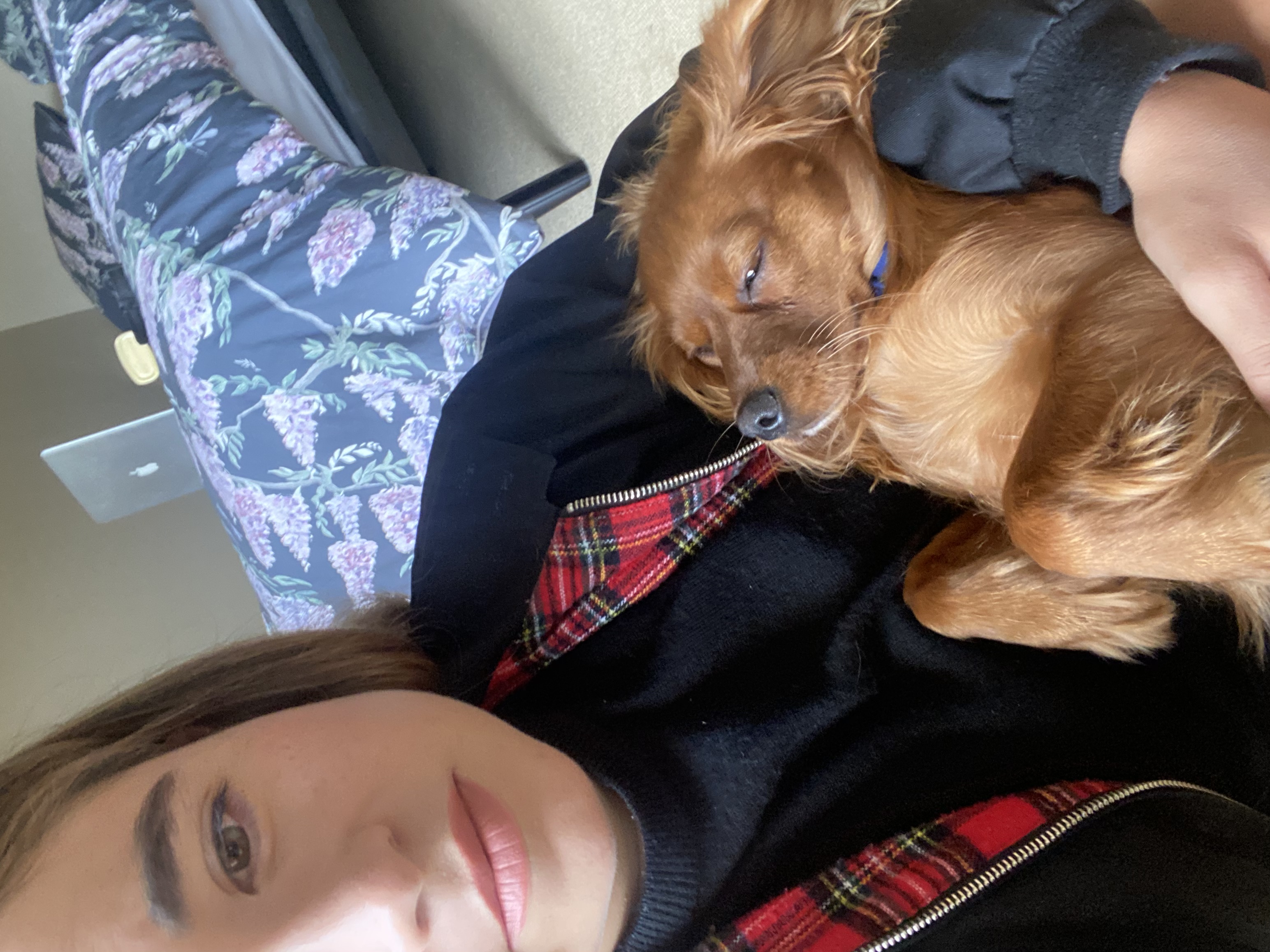 image-6