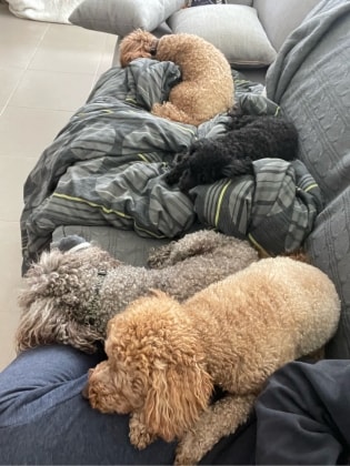 image-12
