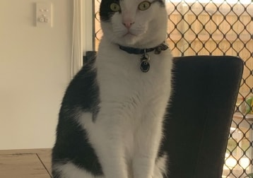 Steven