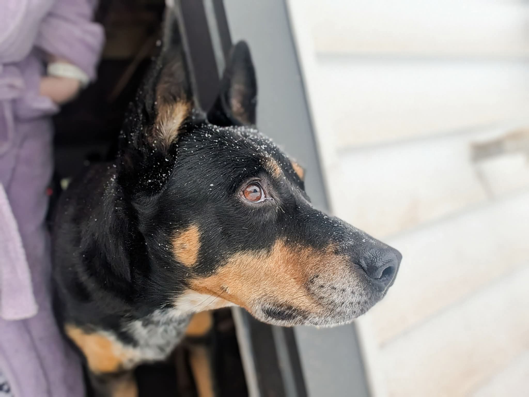 image-7