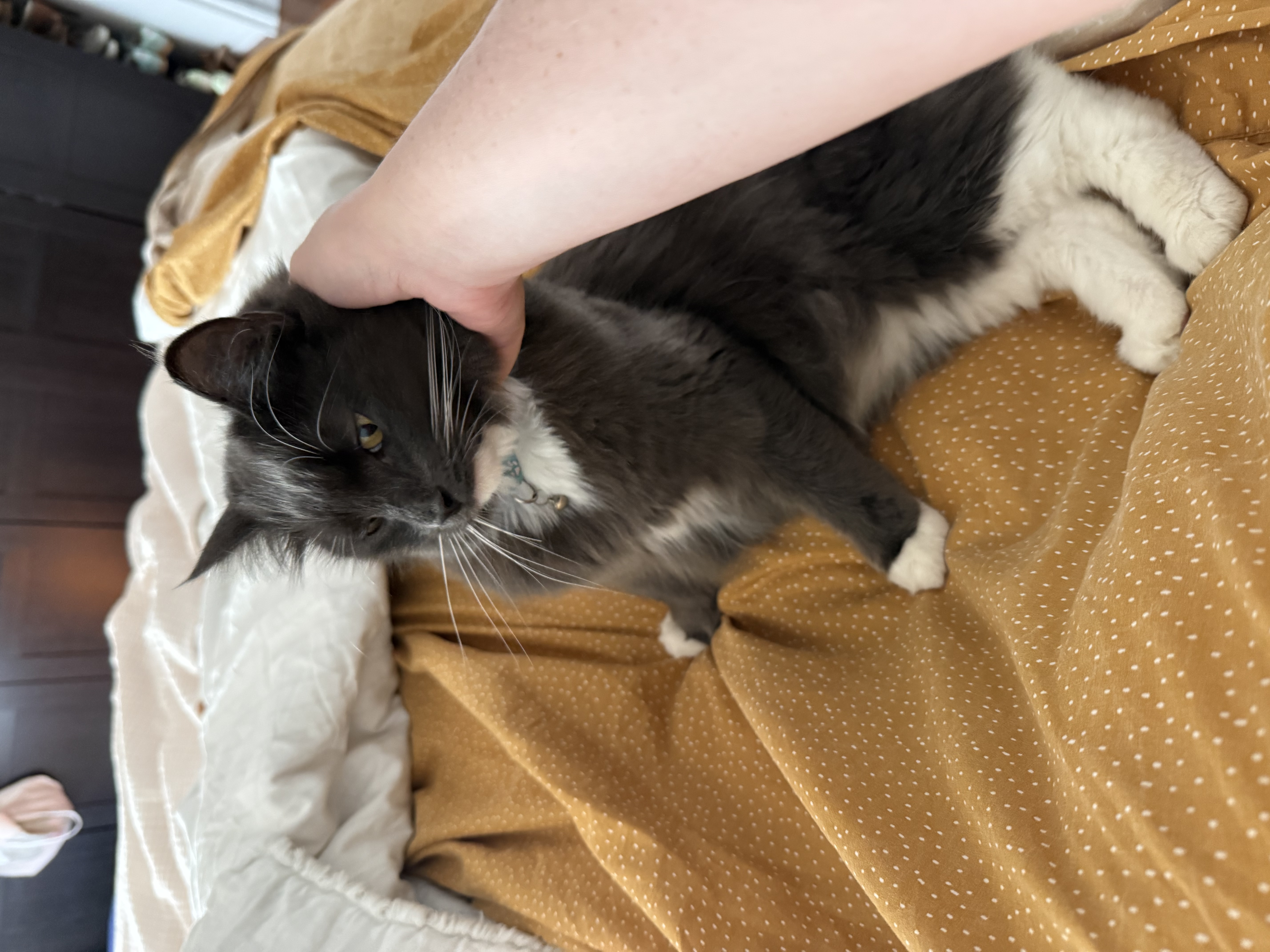 image-9