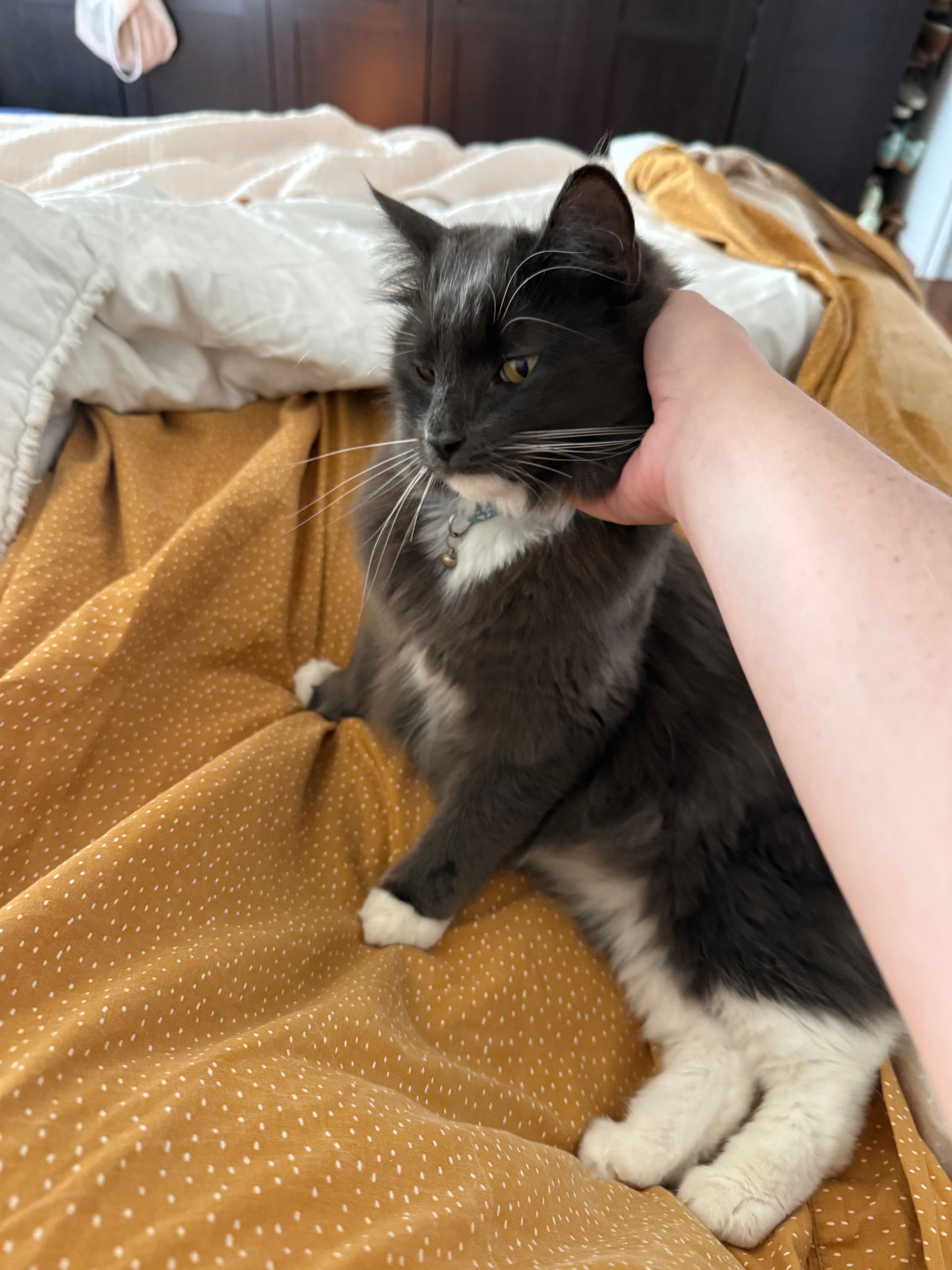 image-9