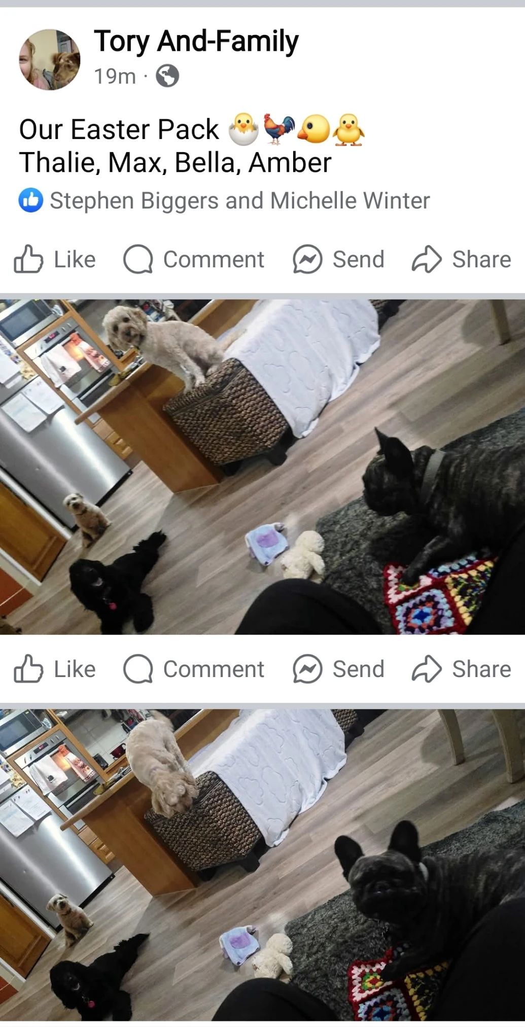 image-37