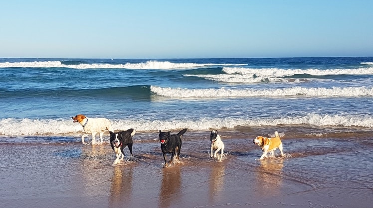 image-0