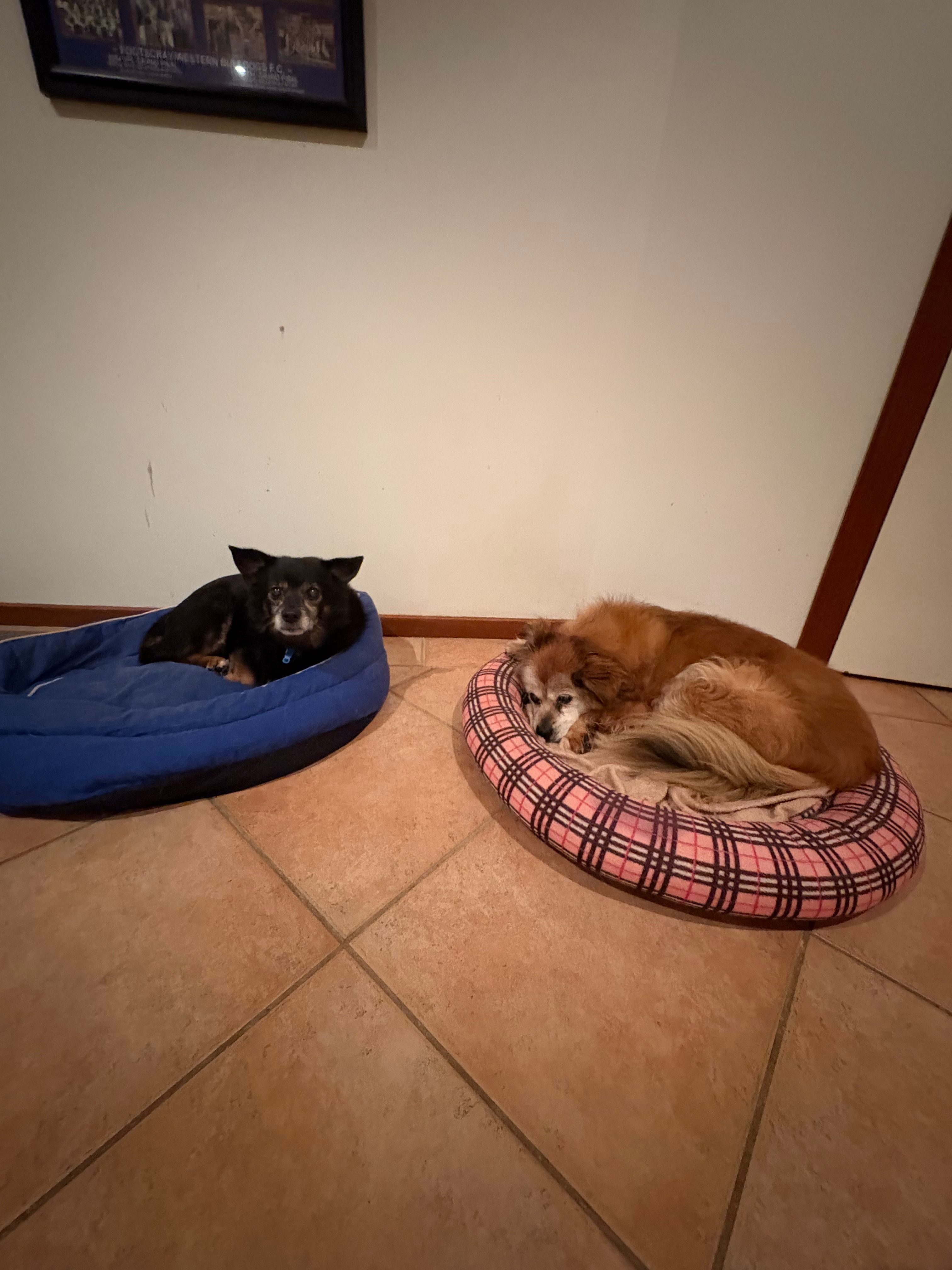 image-13