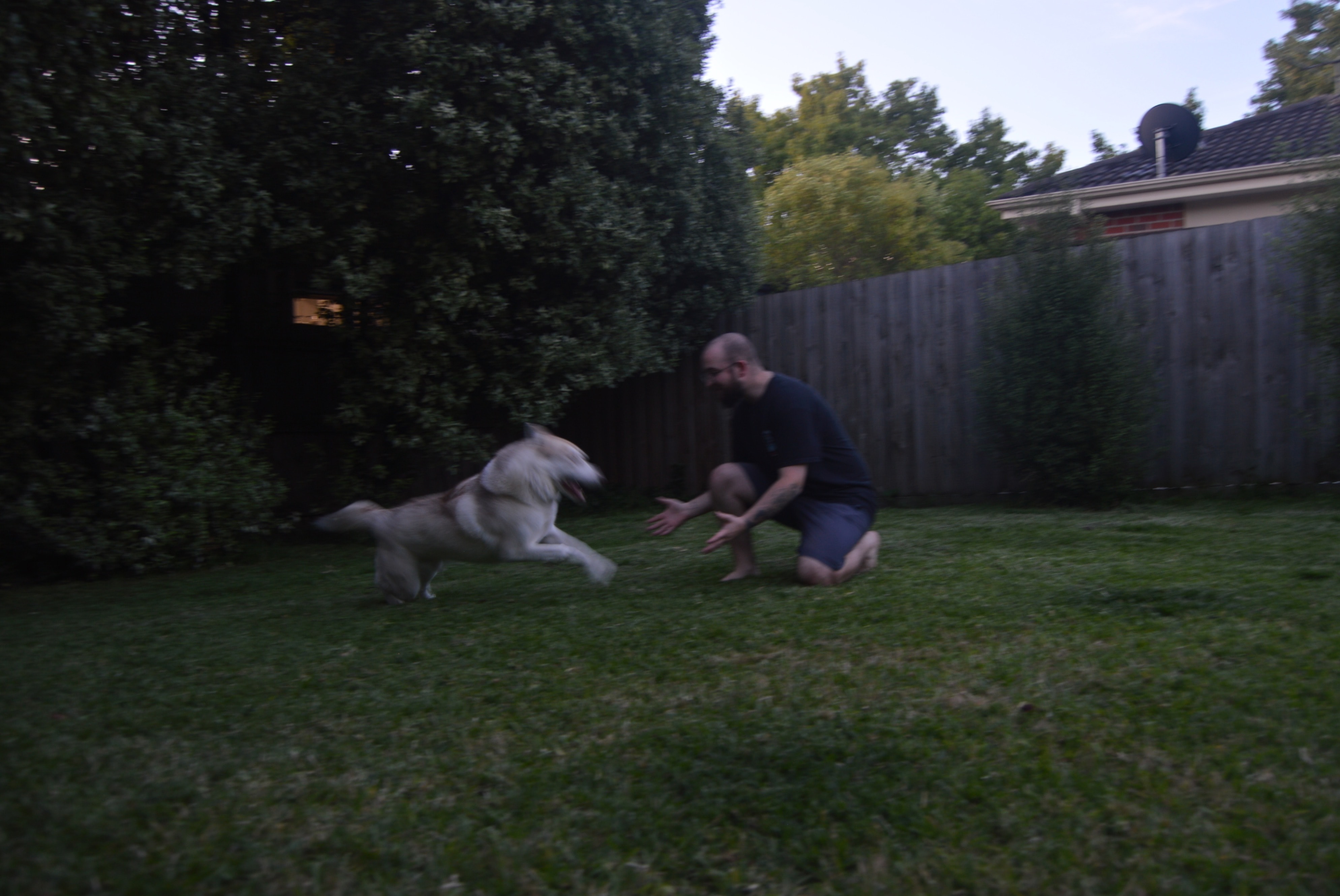 image-16