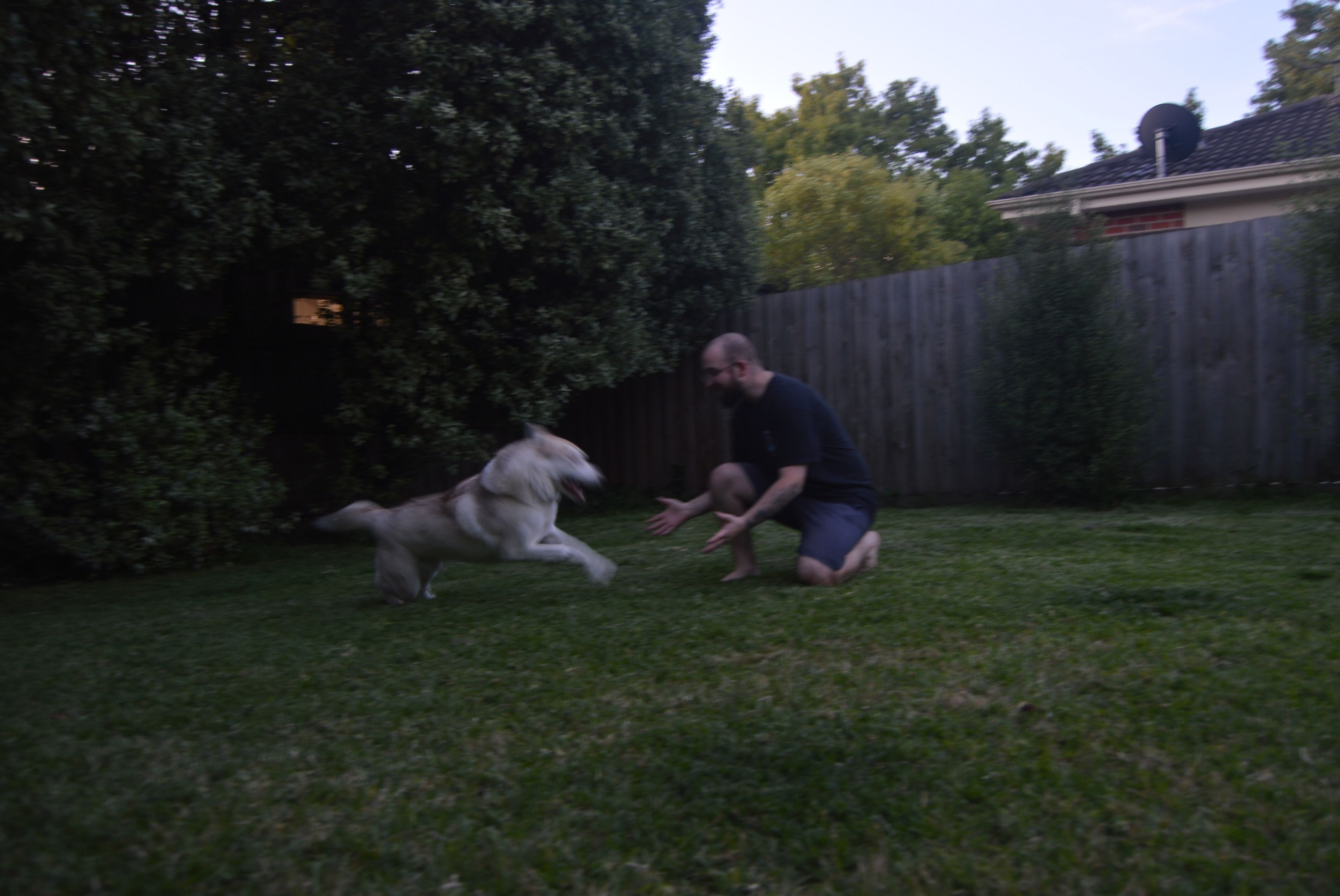 image-16