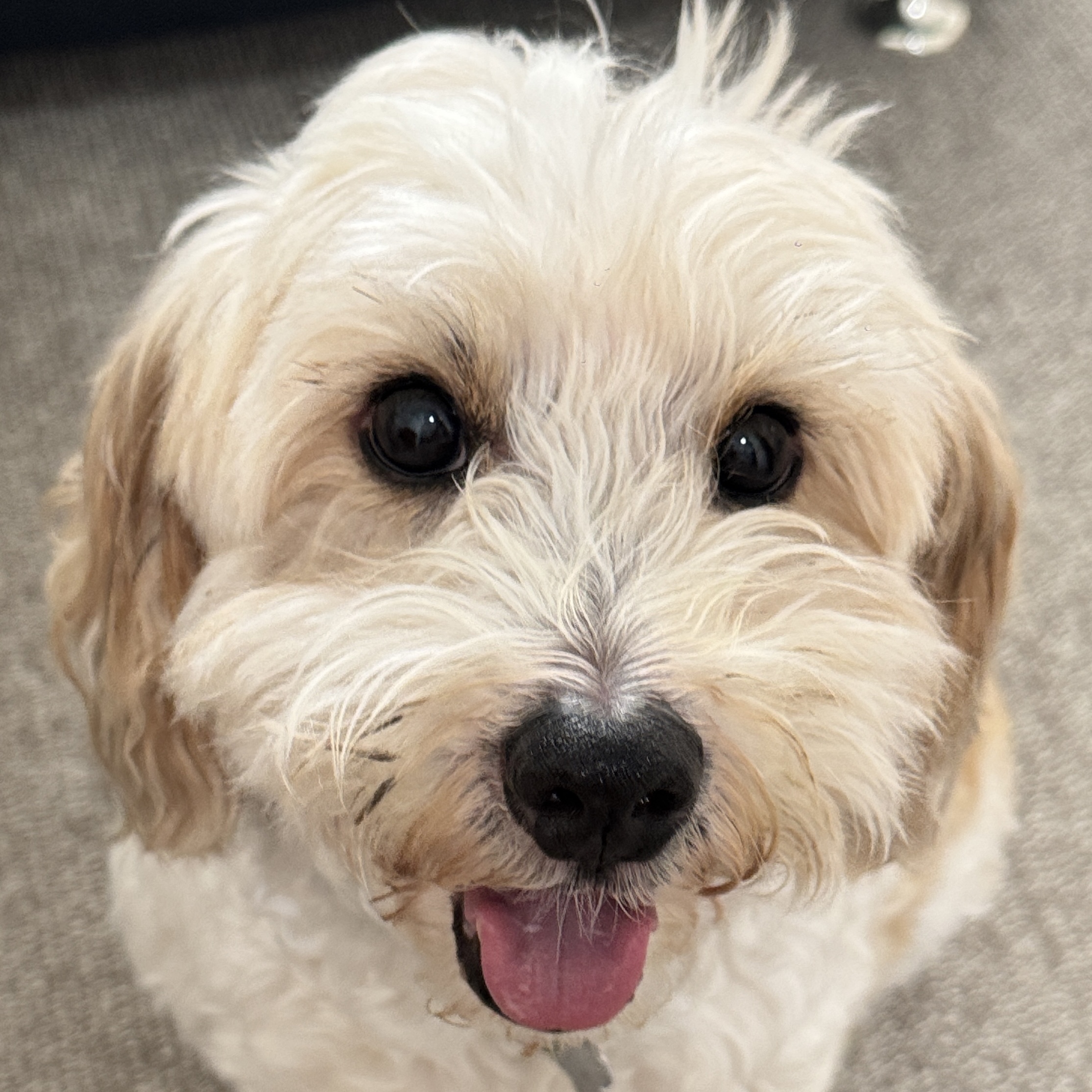 Sid