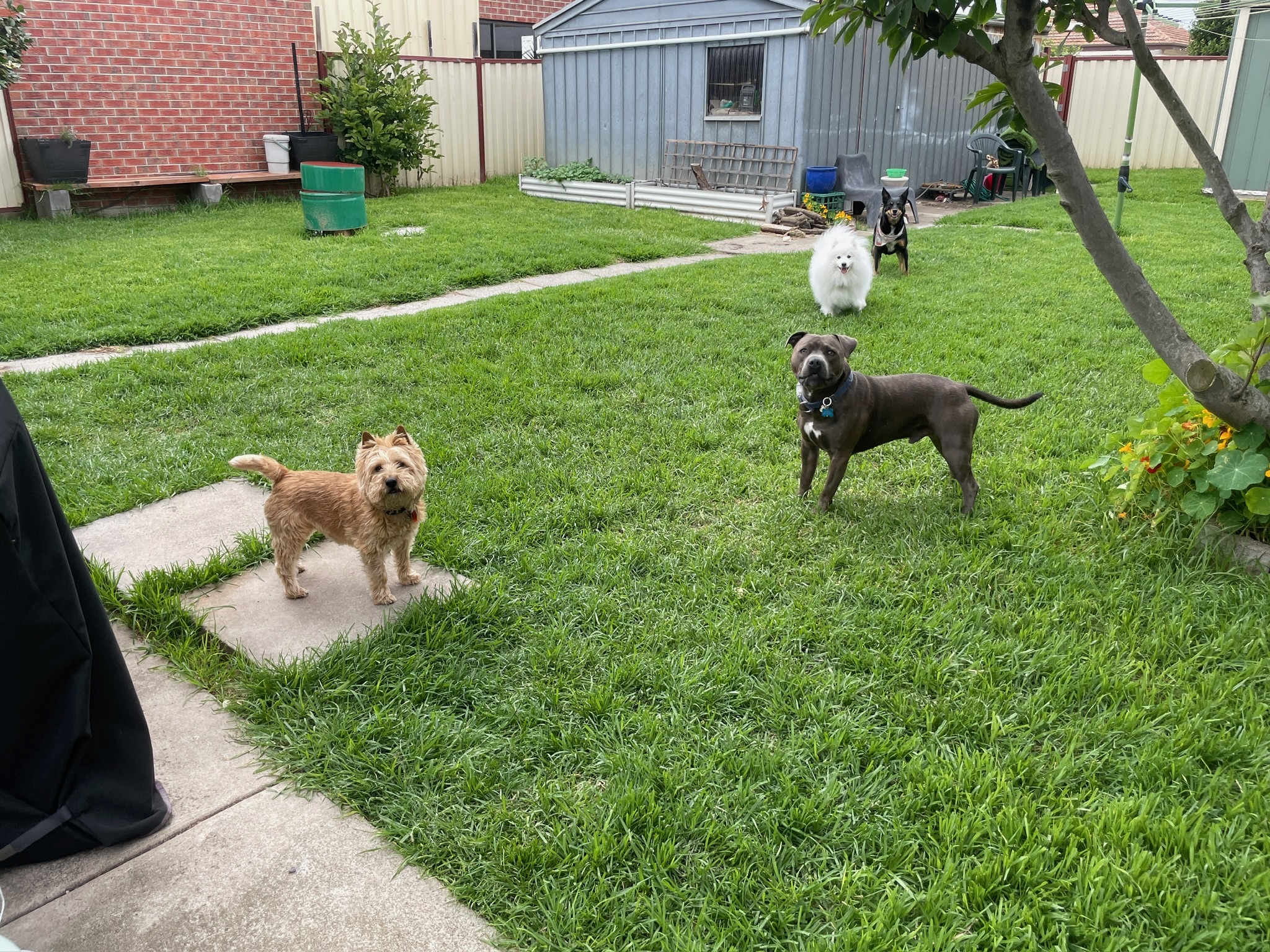 image-12