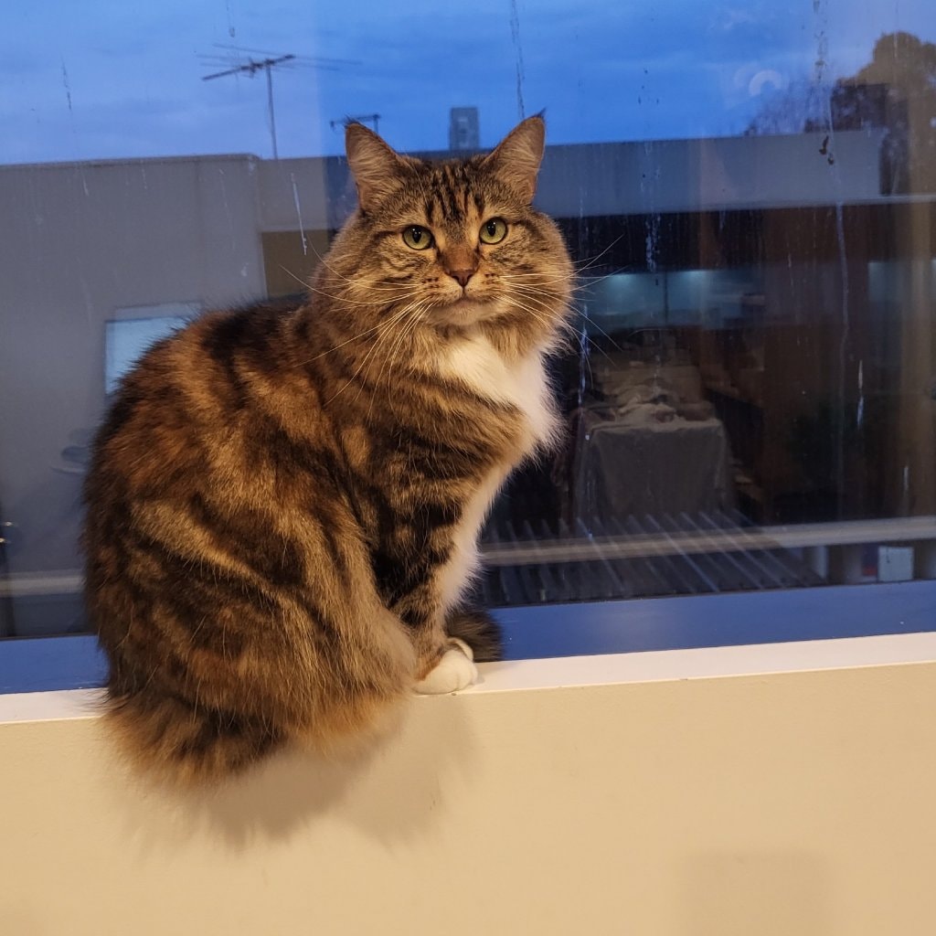 Esmerelda Chanel