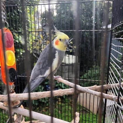 image-14