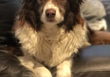 Molly