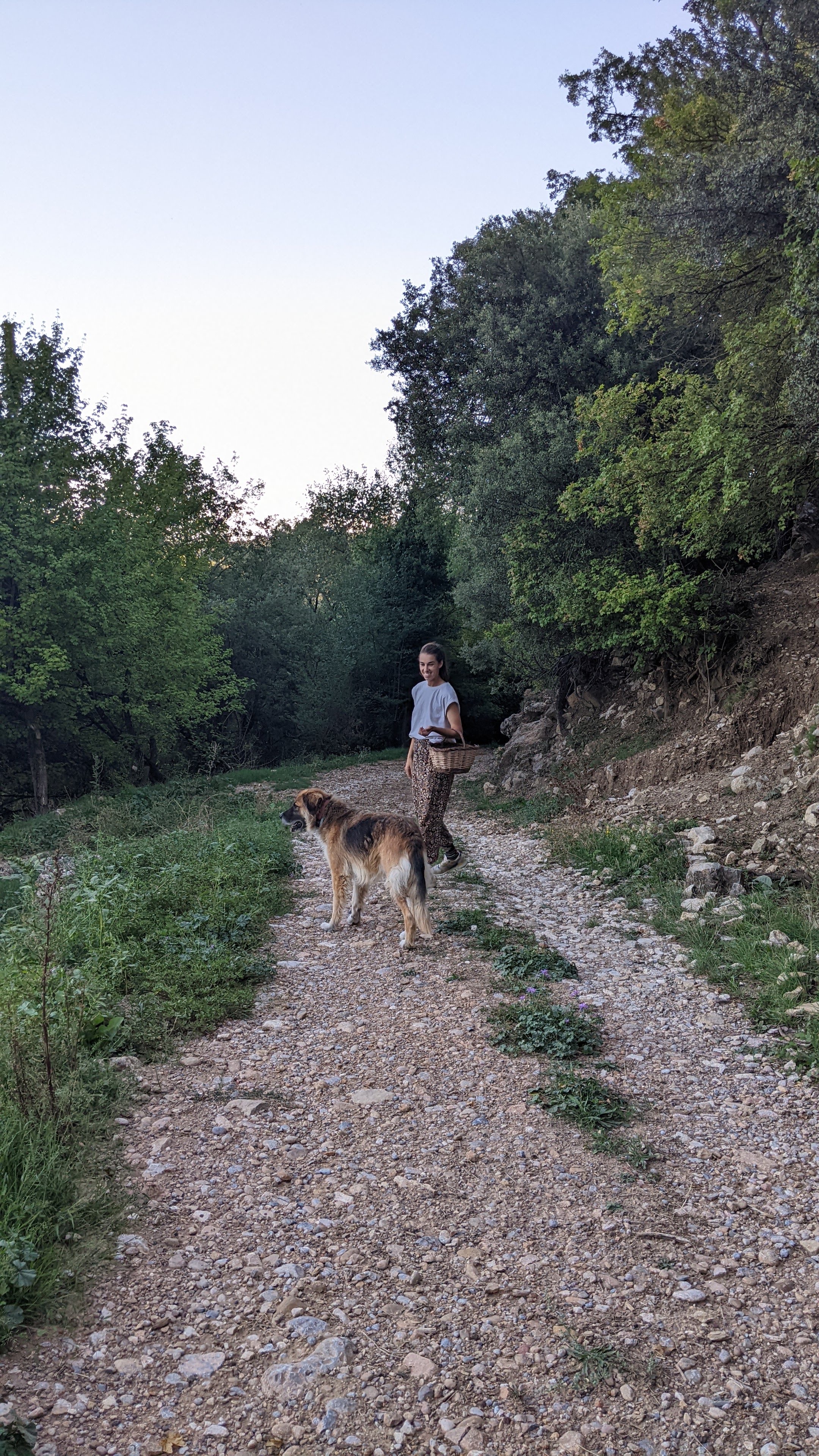 image-11
