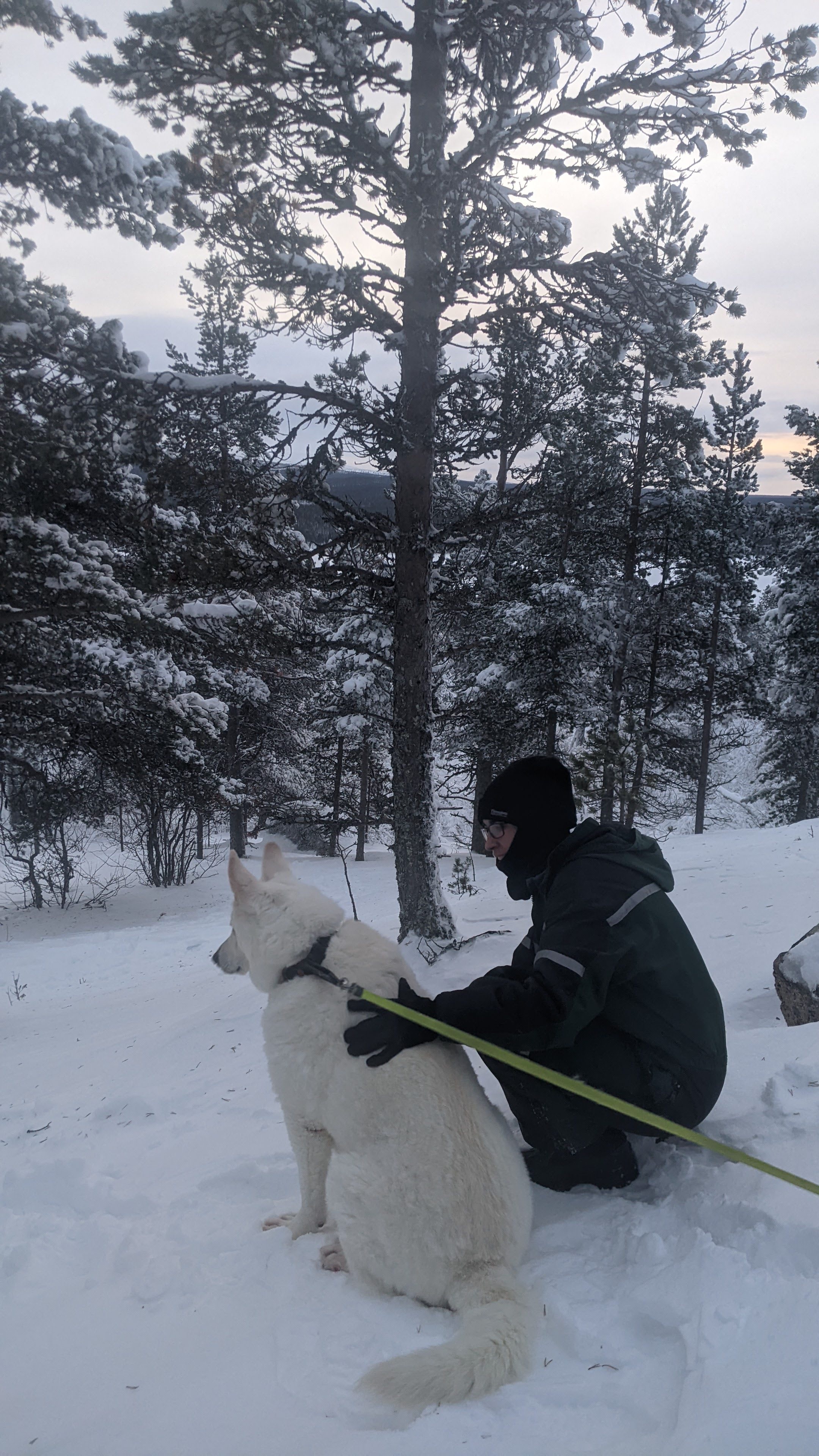 image-9