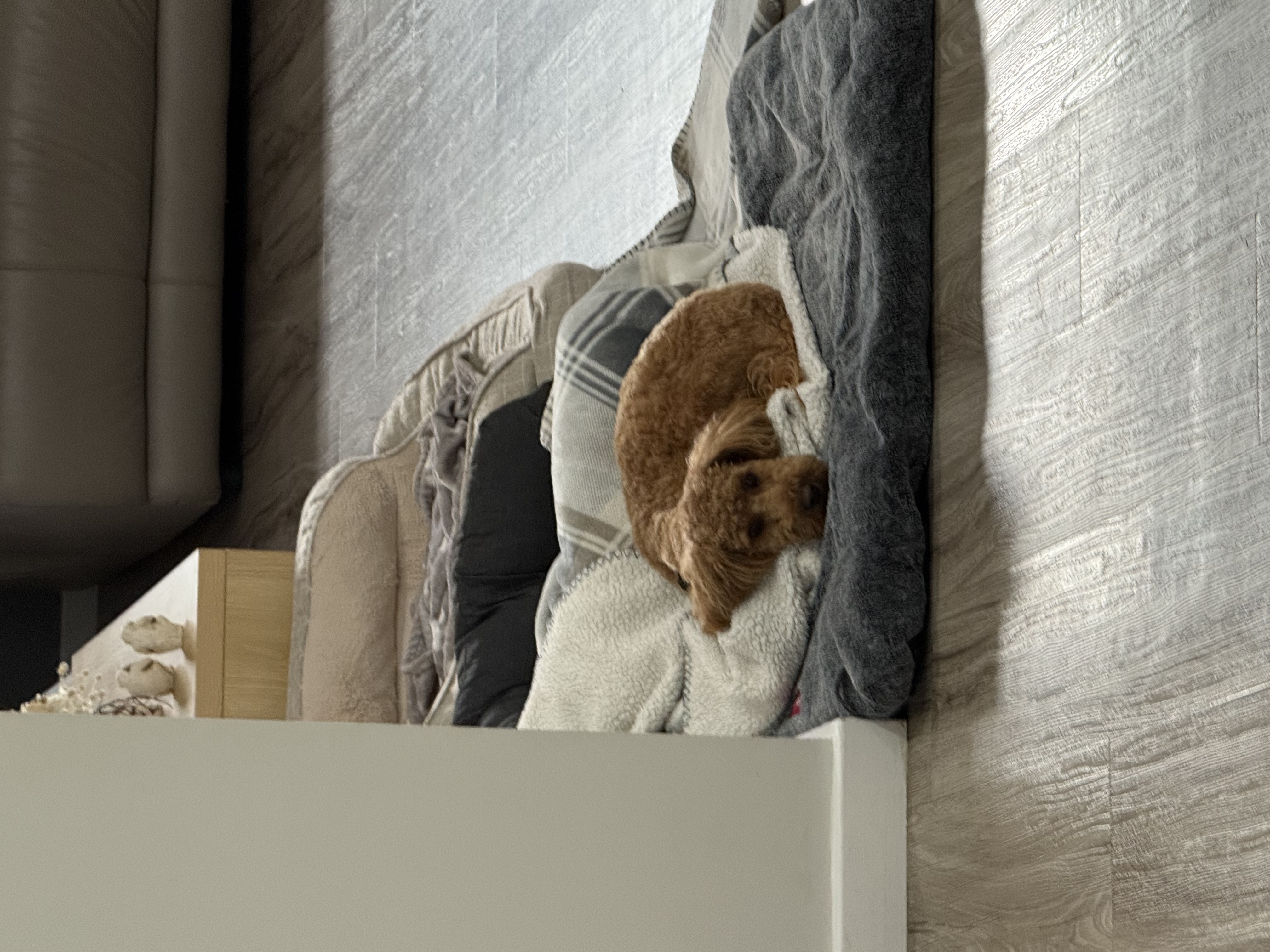image-7