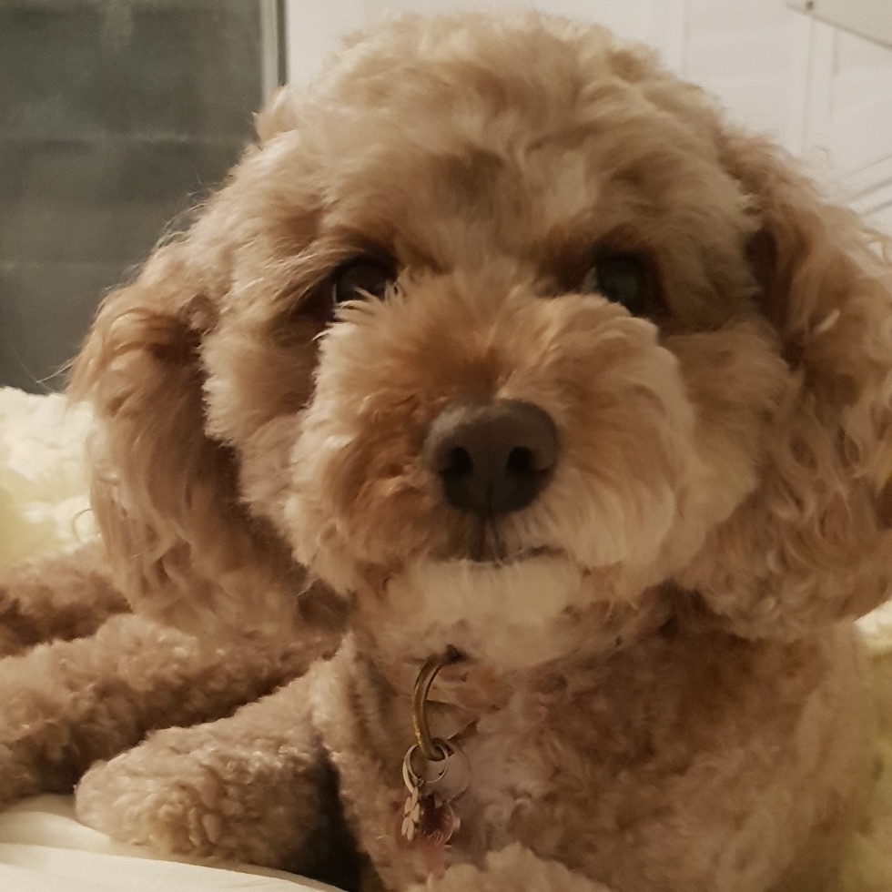 Millie