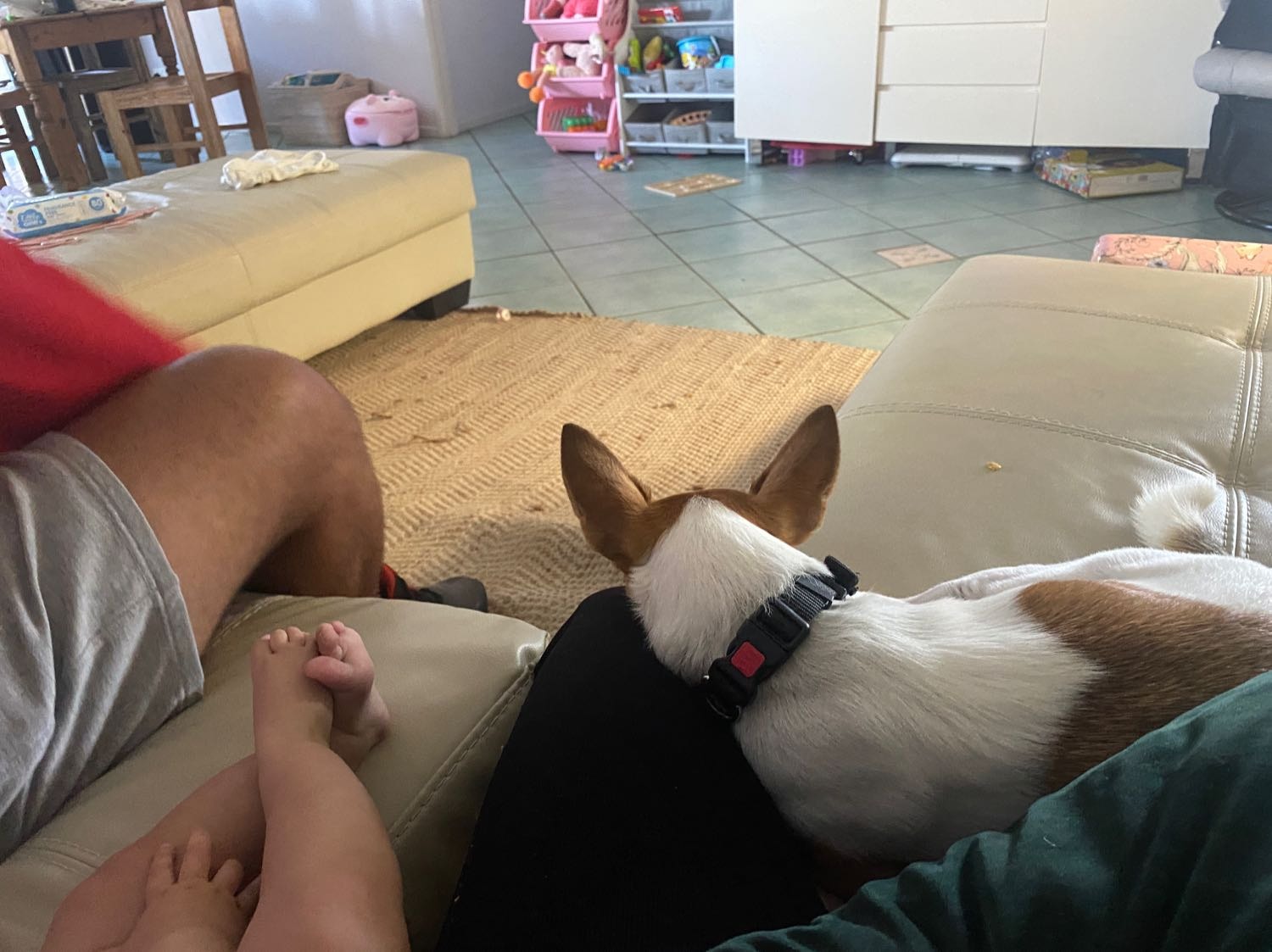 image-6