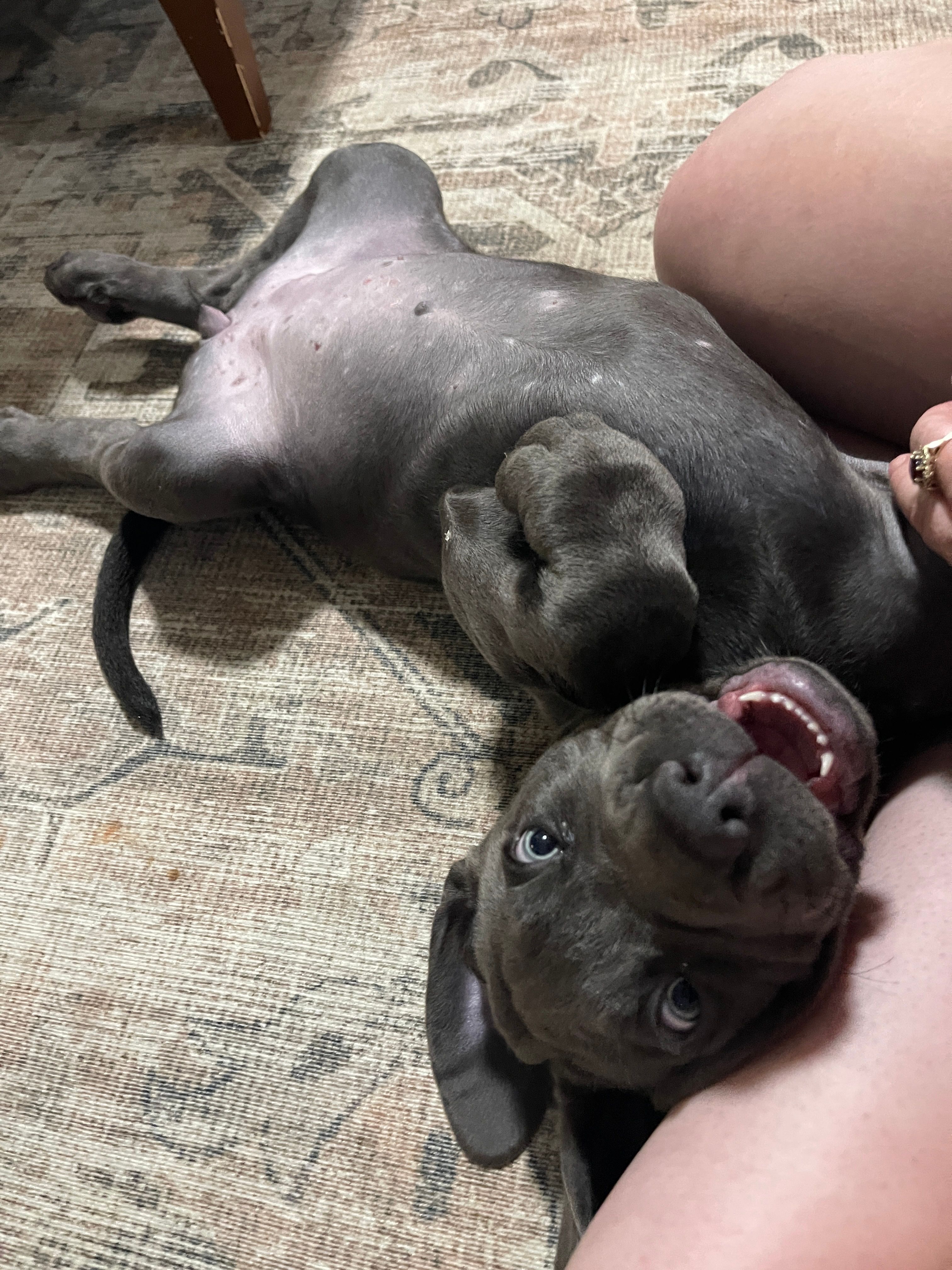image-19