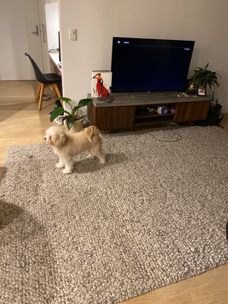image-12