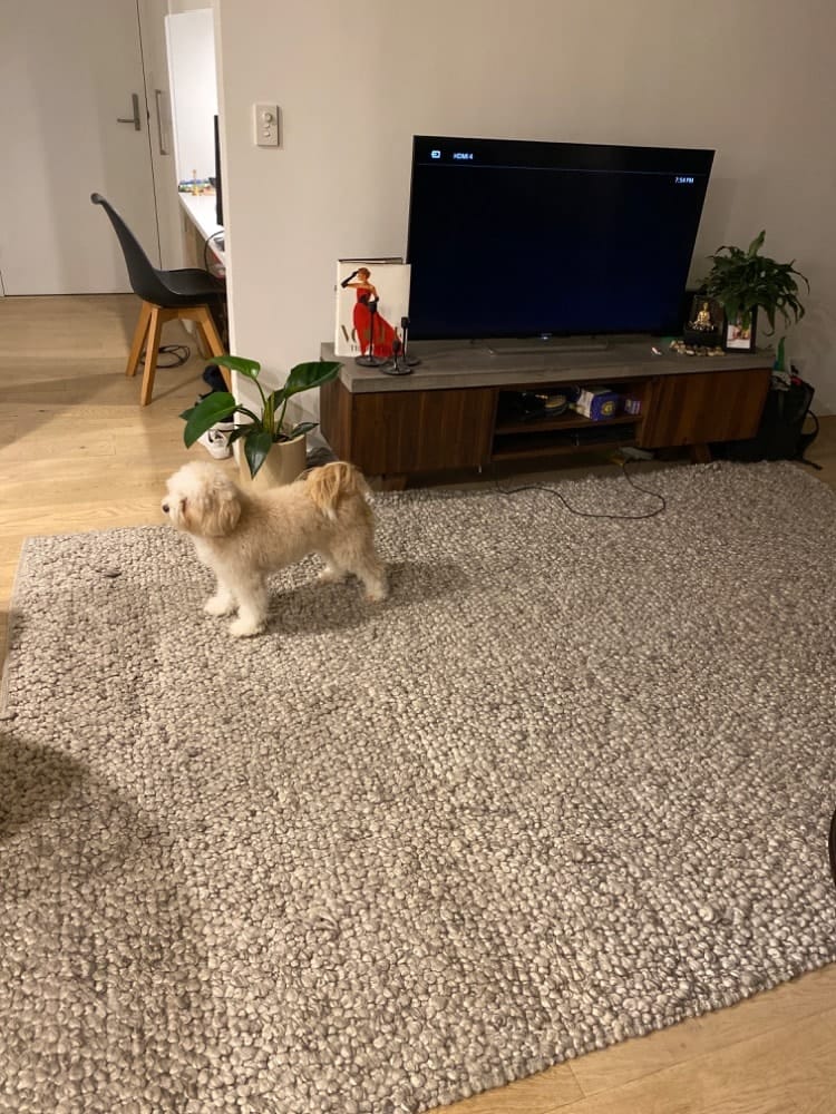 image-12