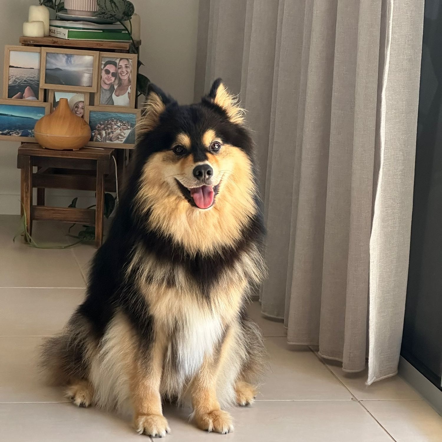 Indi 