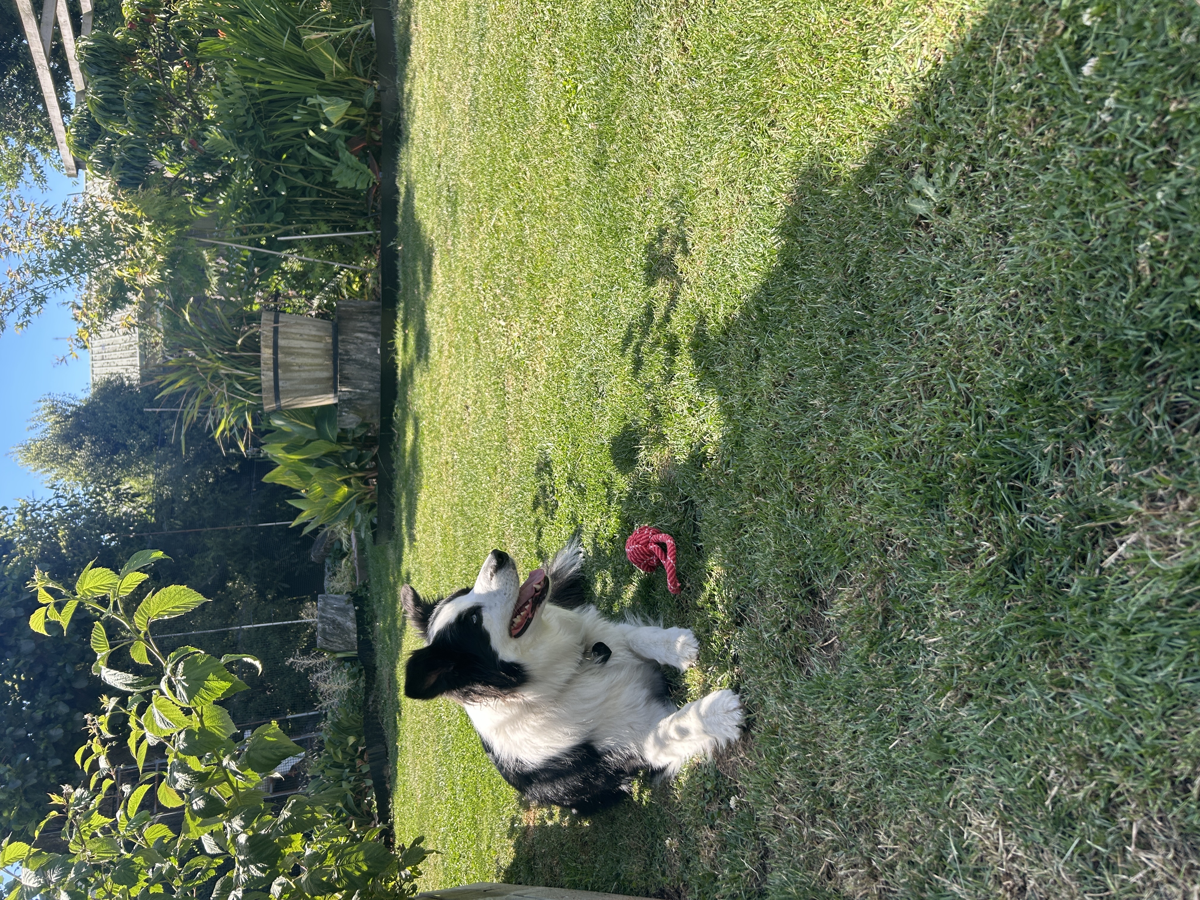 image-15