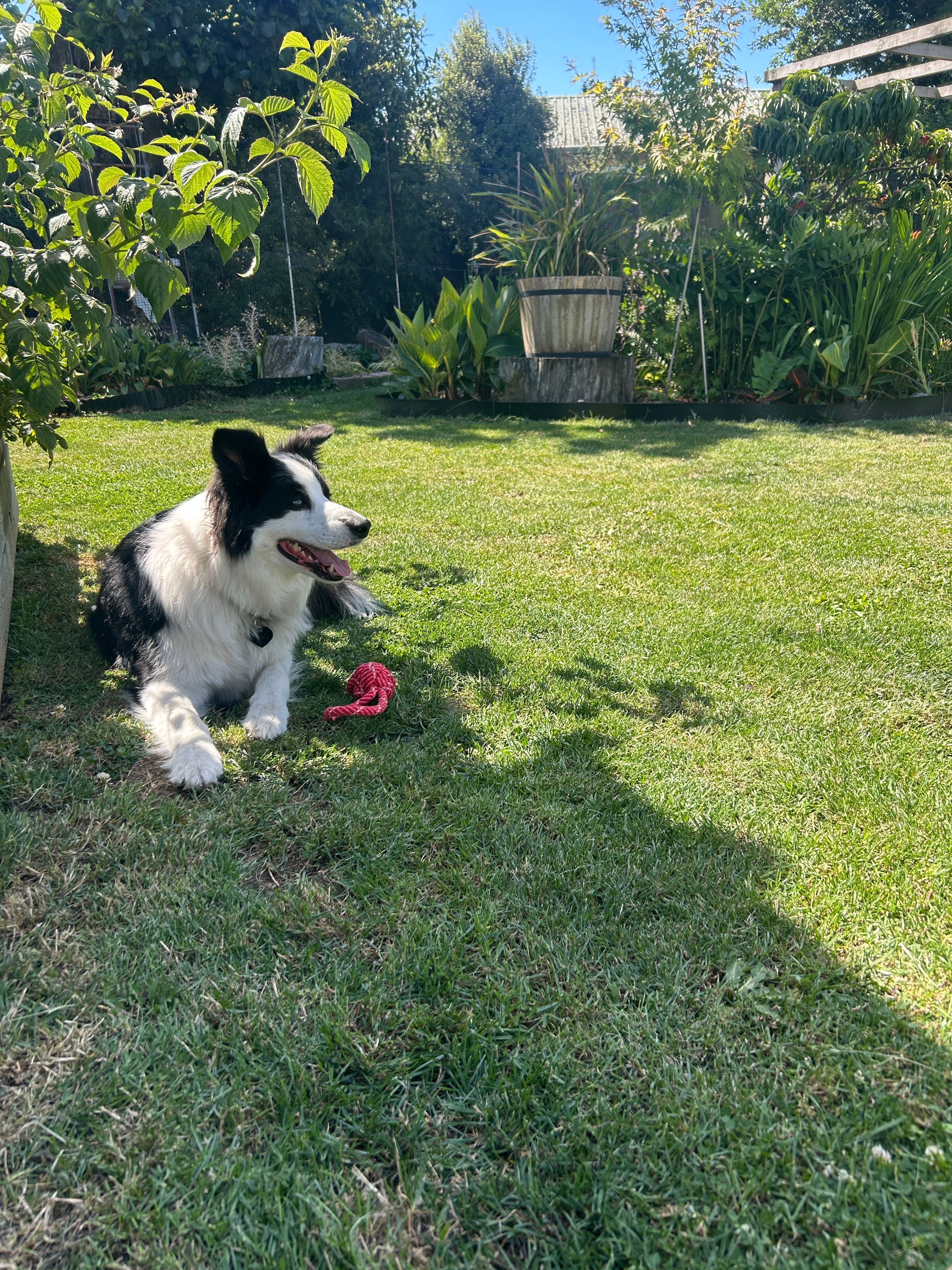 image-15