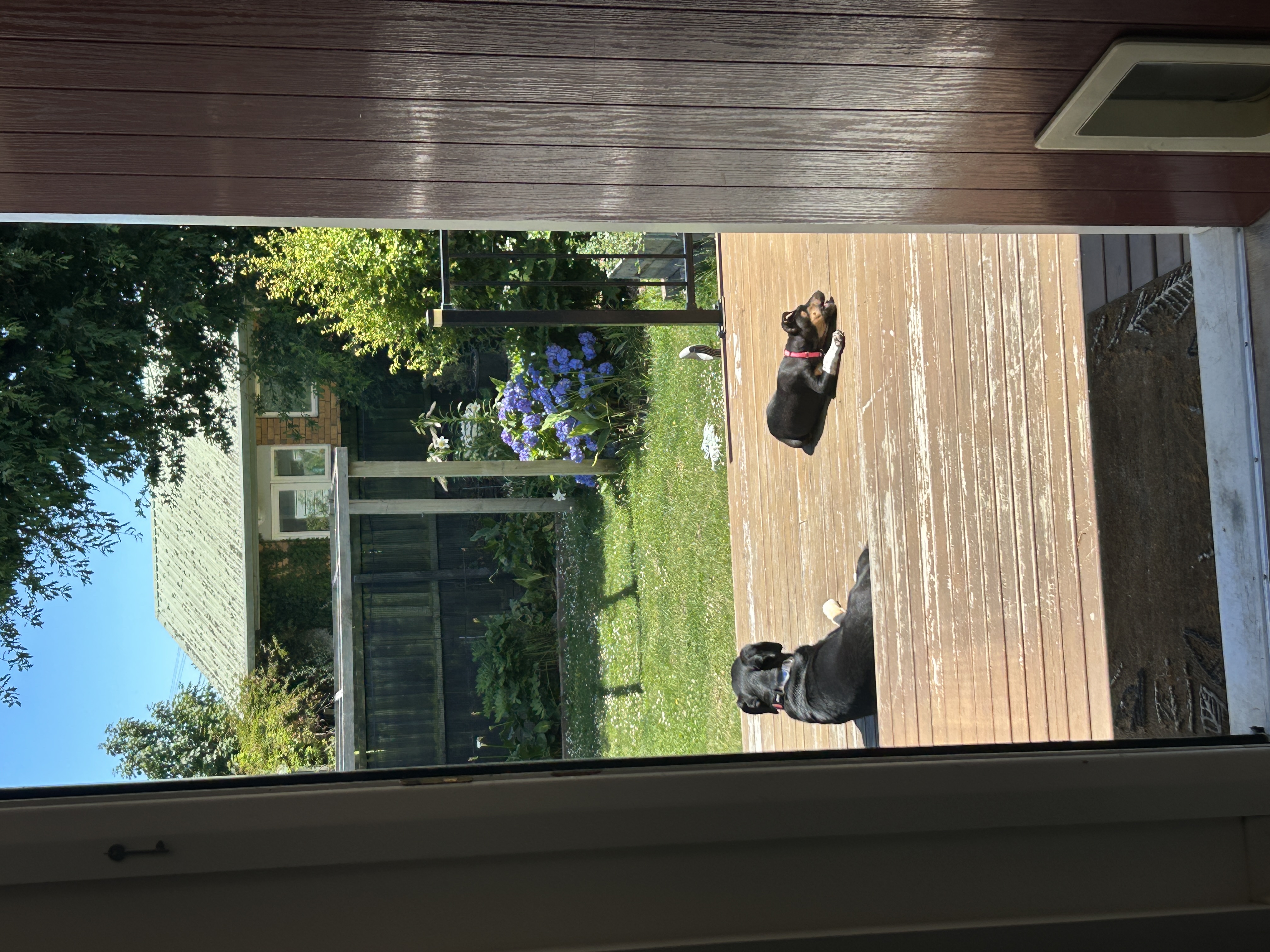 image-16