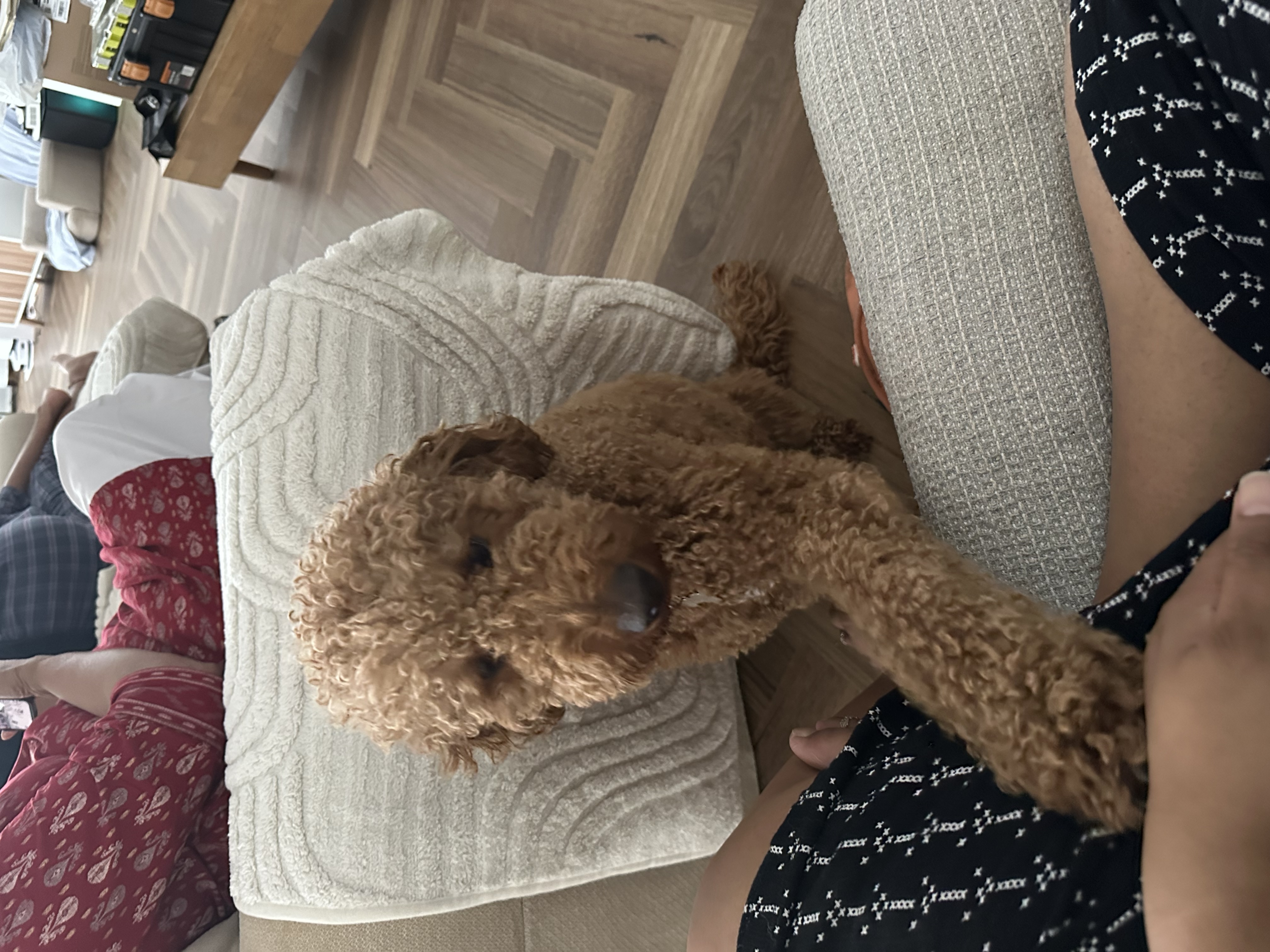 image-7