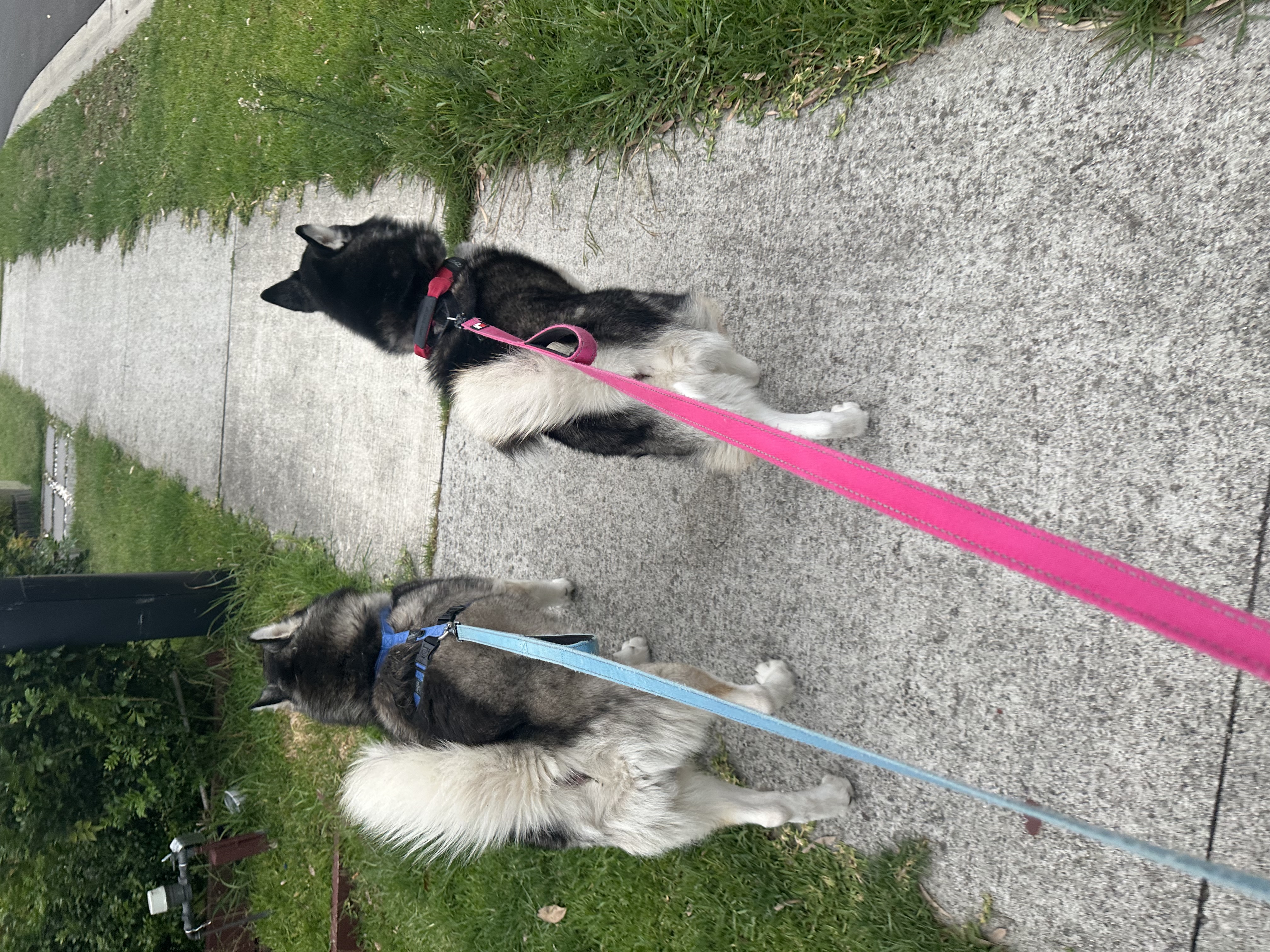 image-11