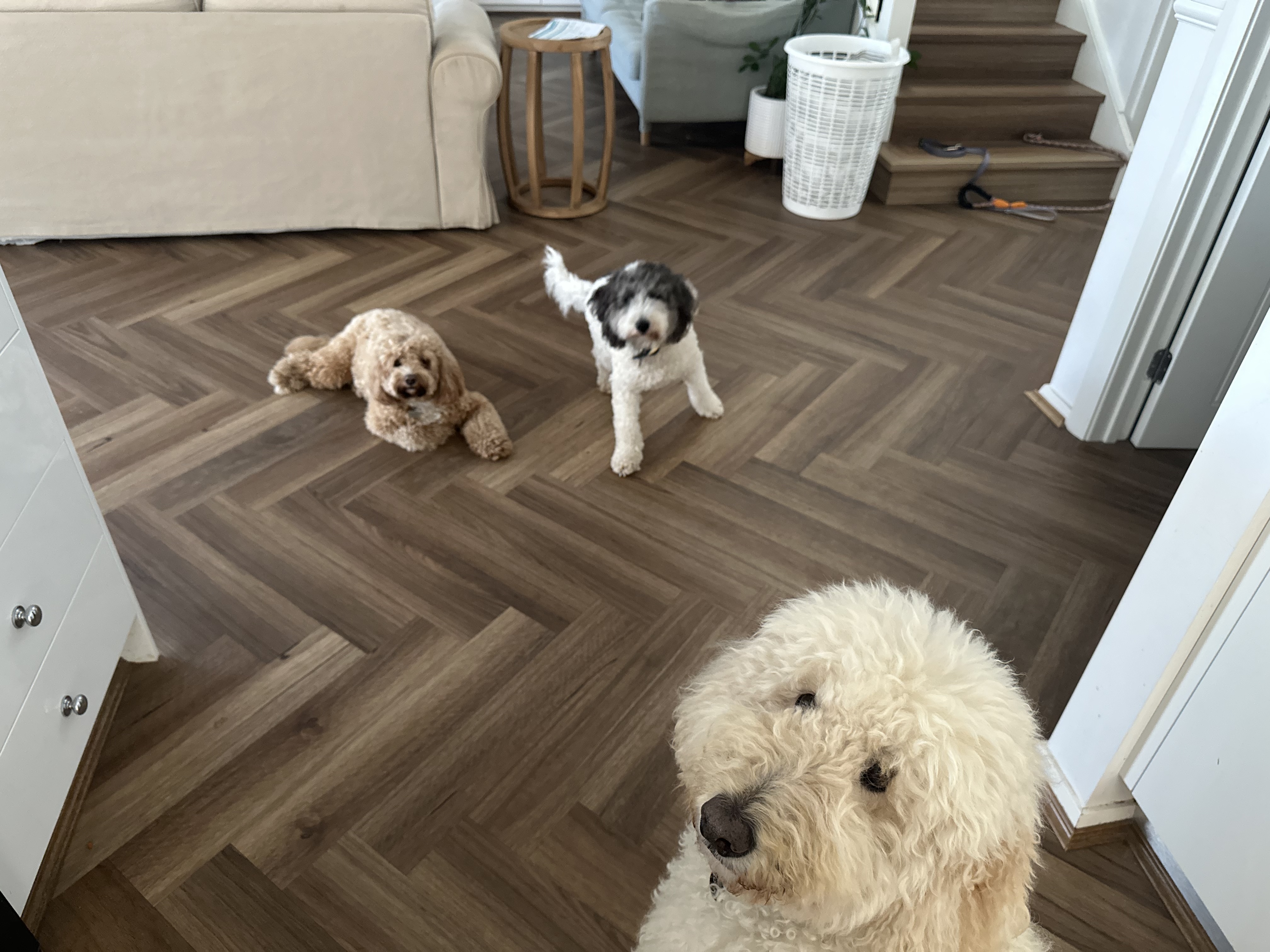 image-16