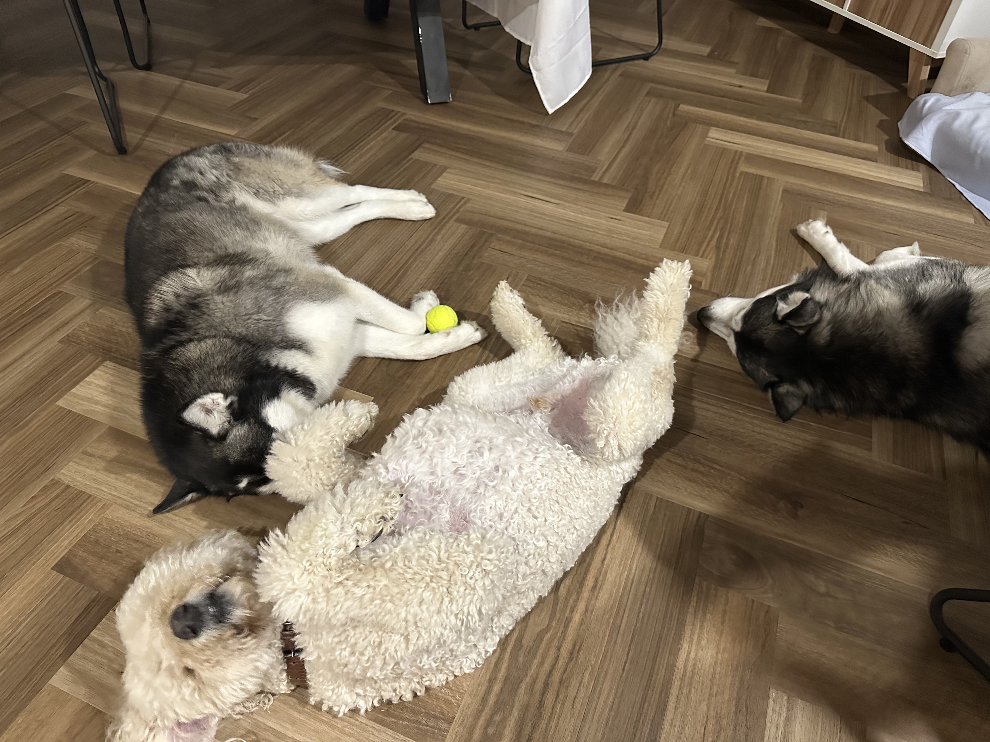 image-6