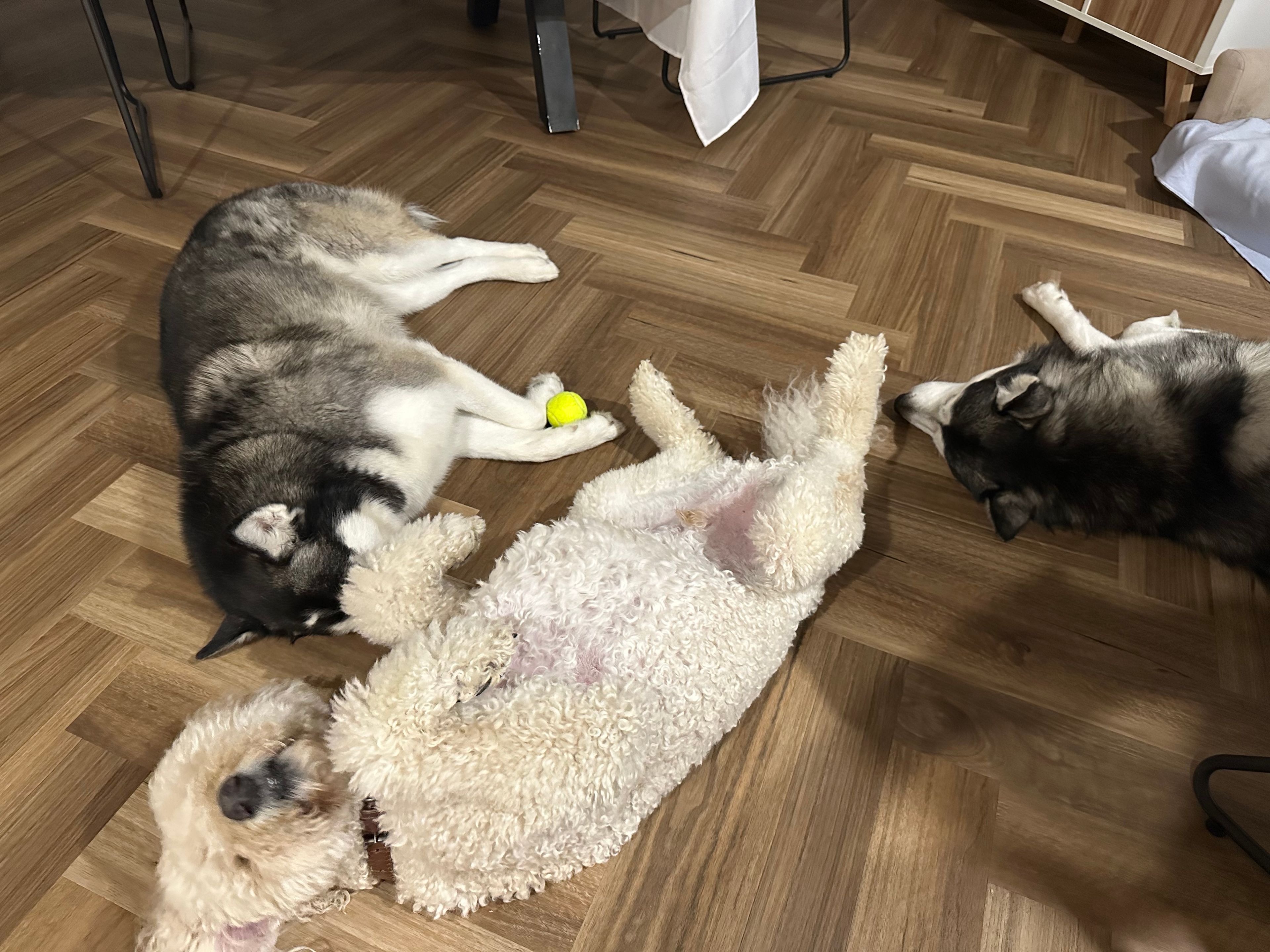 image-6