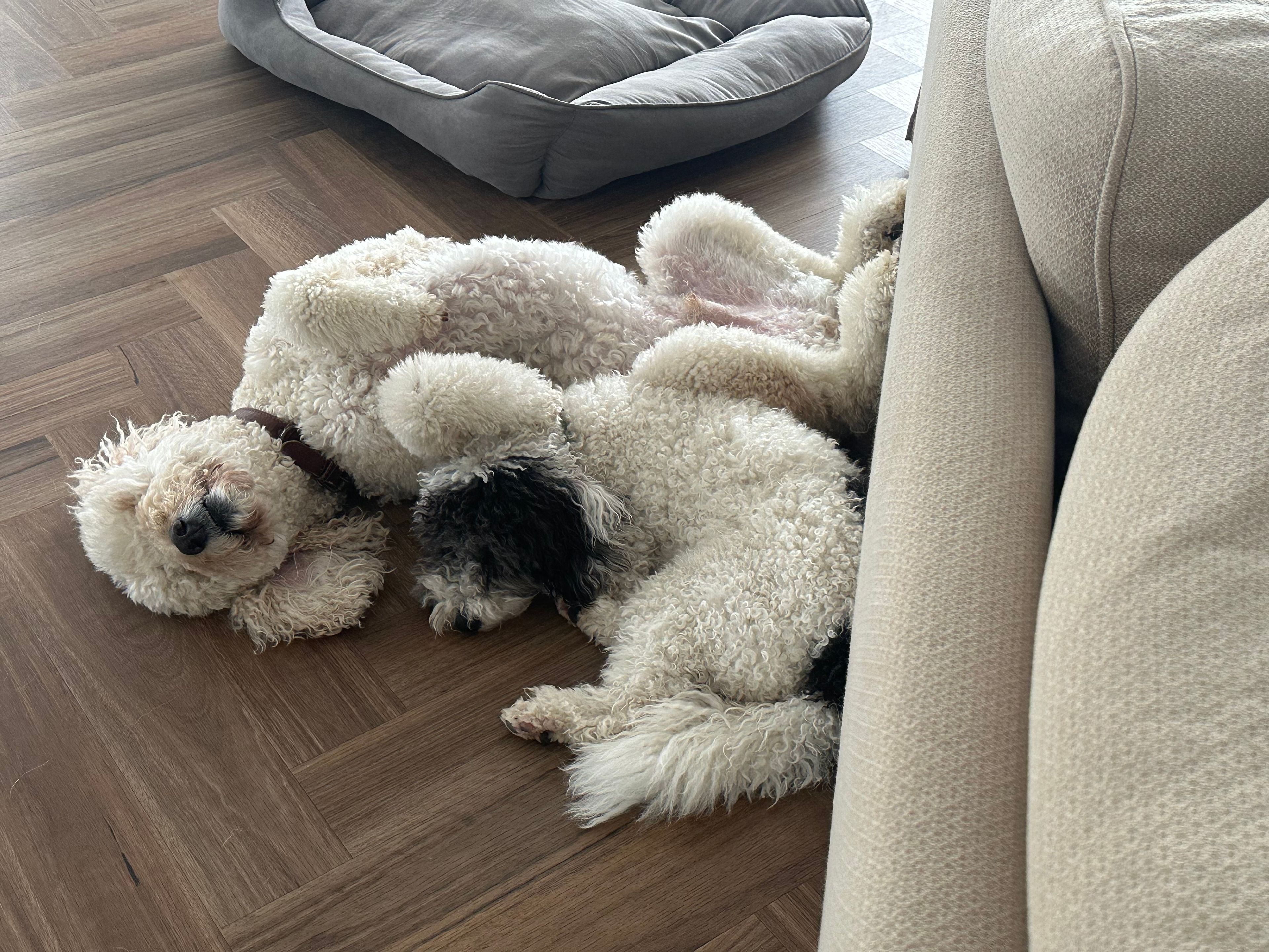 image-10