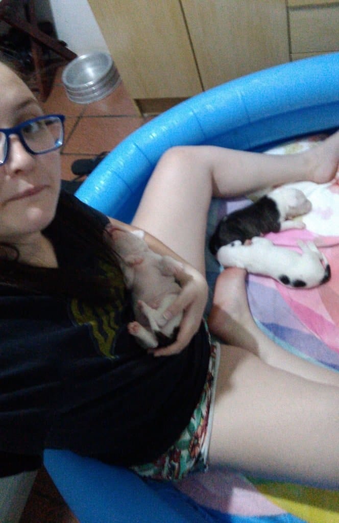 image-6