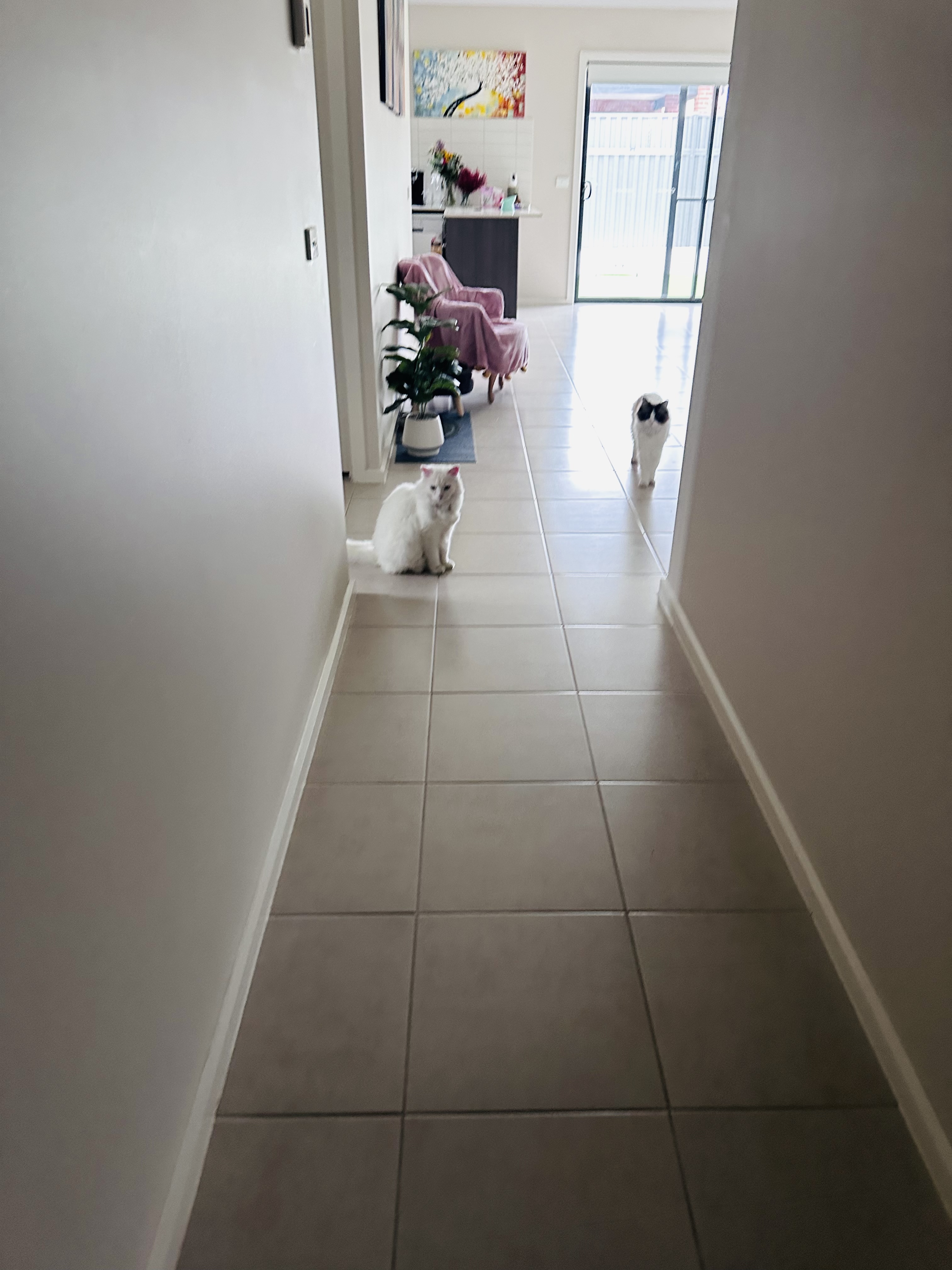 image-33