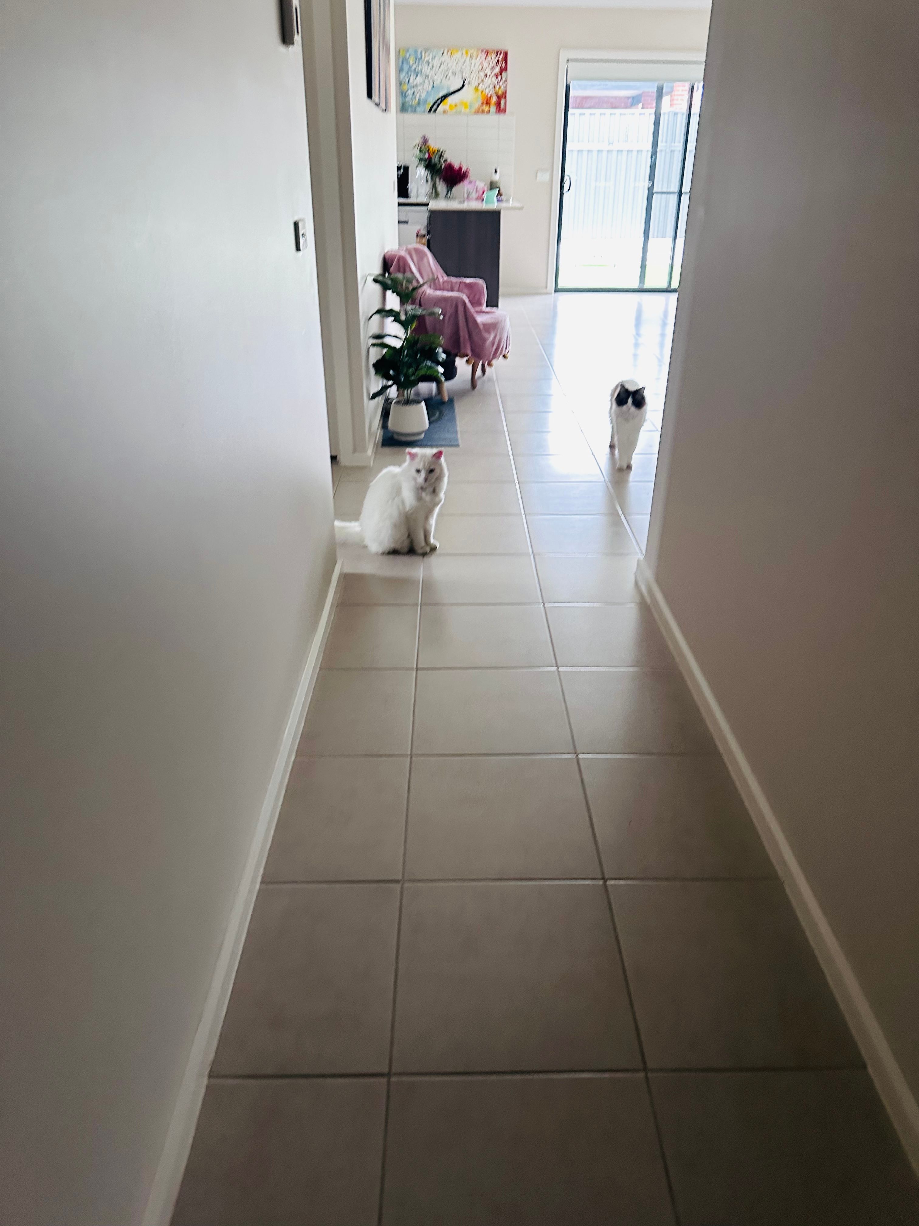 image-33