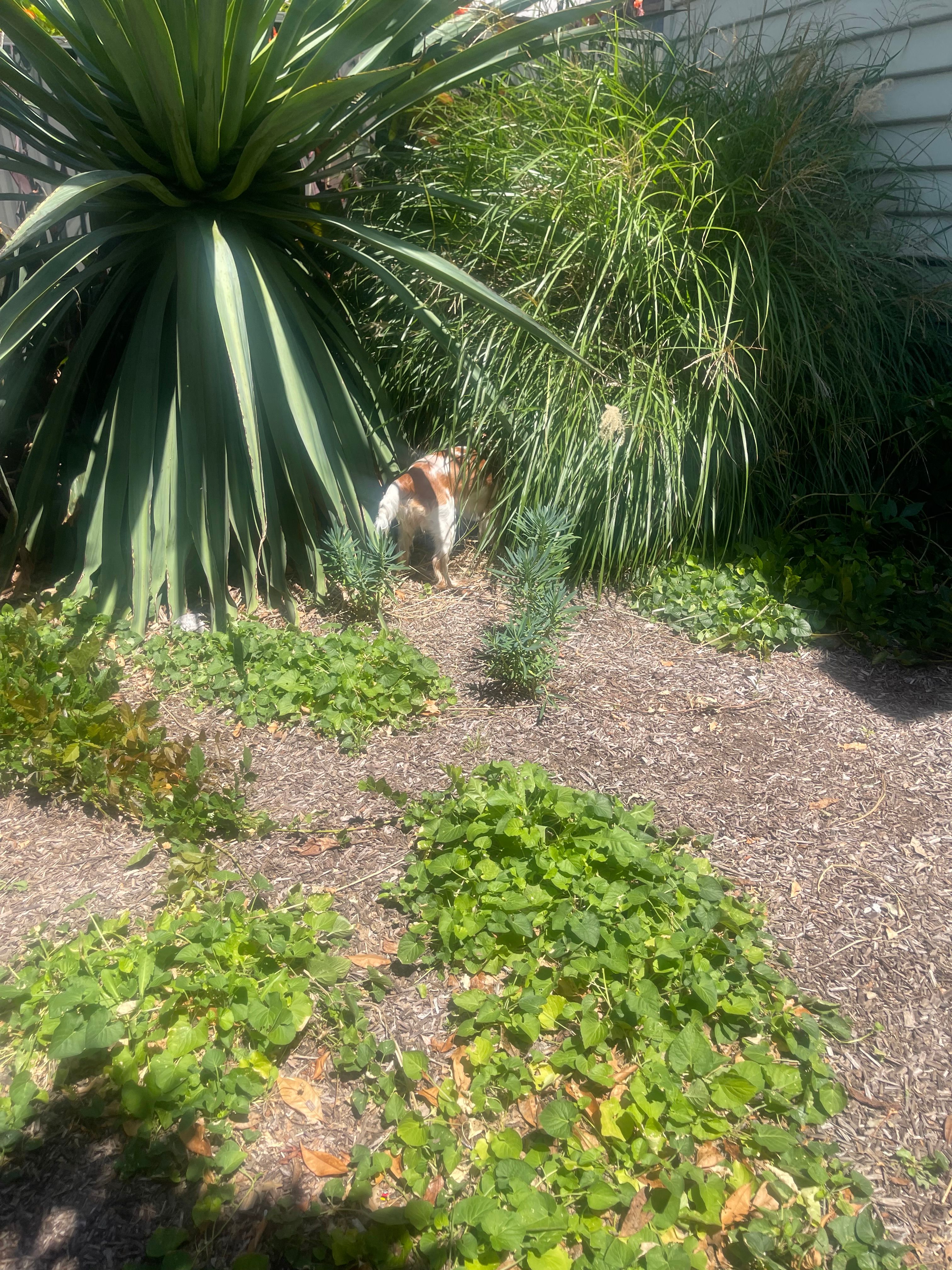 image-15